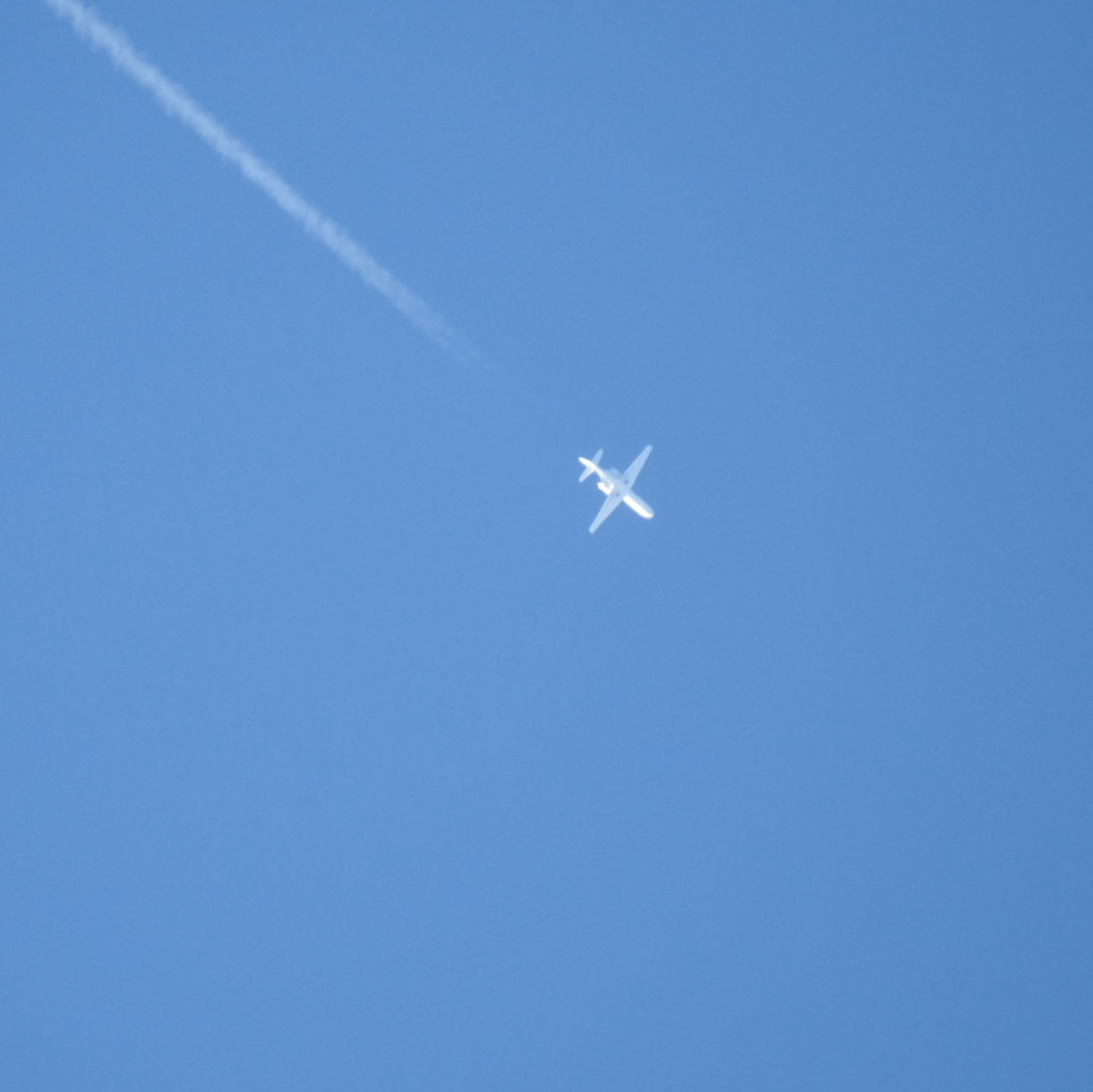 Taken with my Nikon Coolpix P900