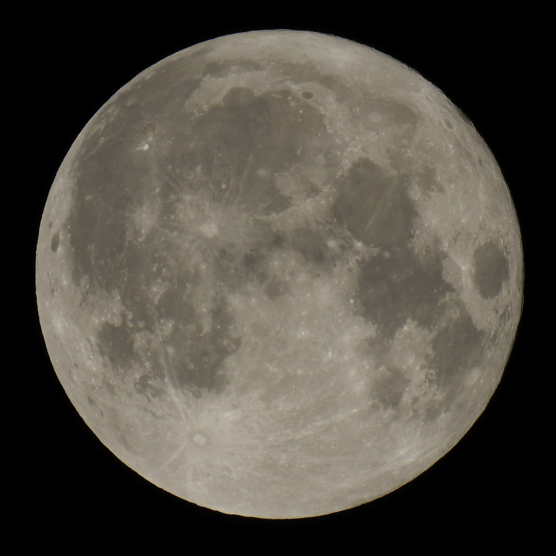 Taken with my Nikon Coolpix P900