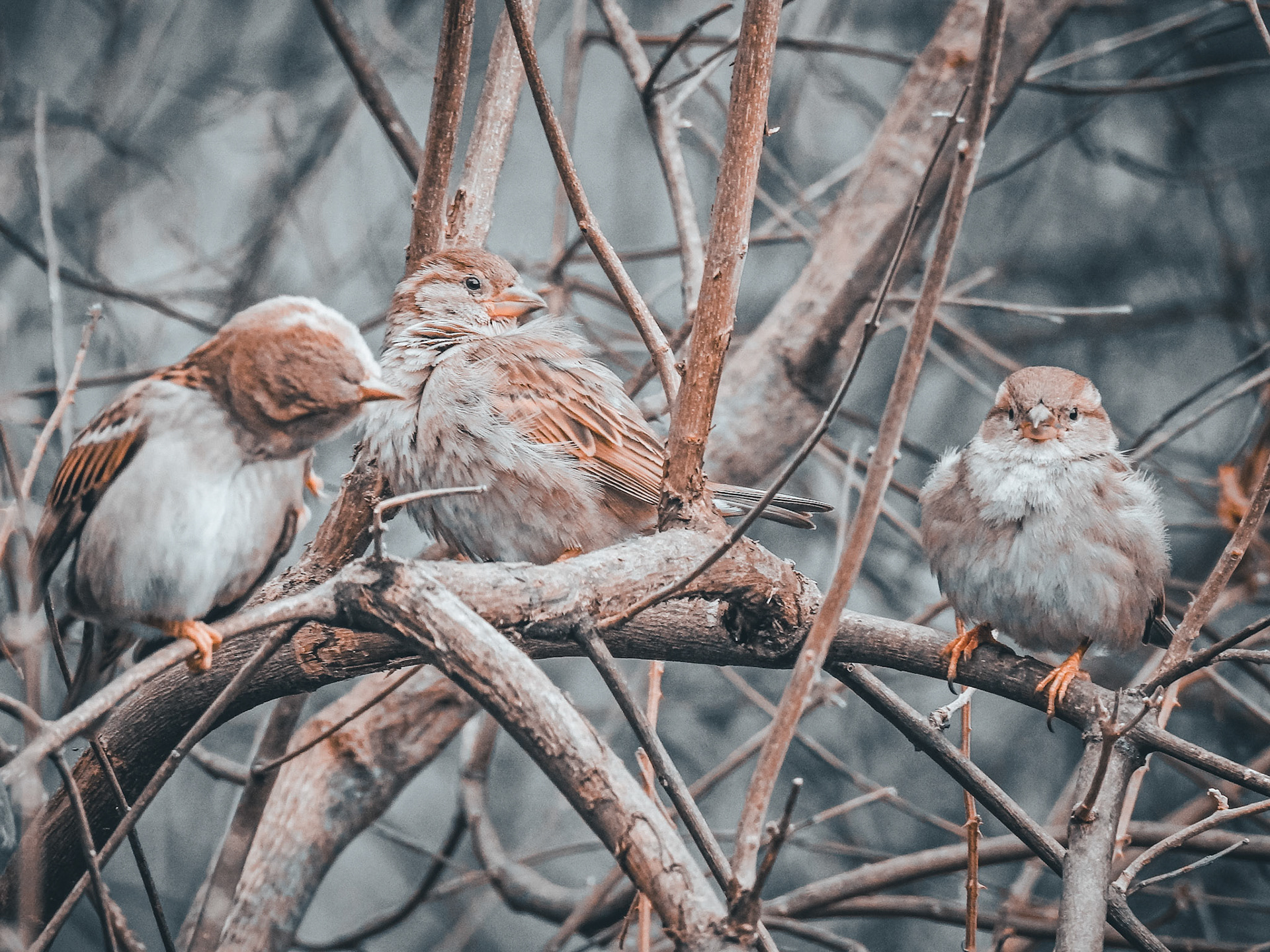 Taken with my Nikon Coolpix P900