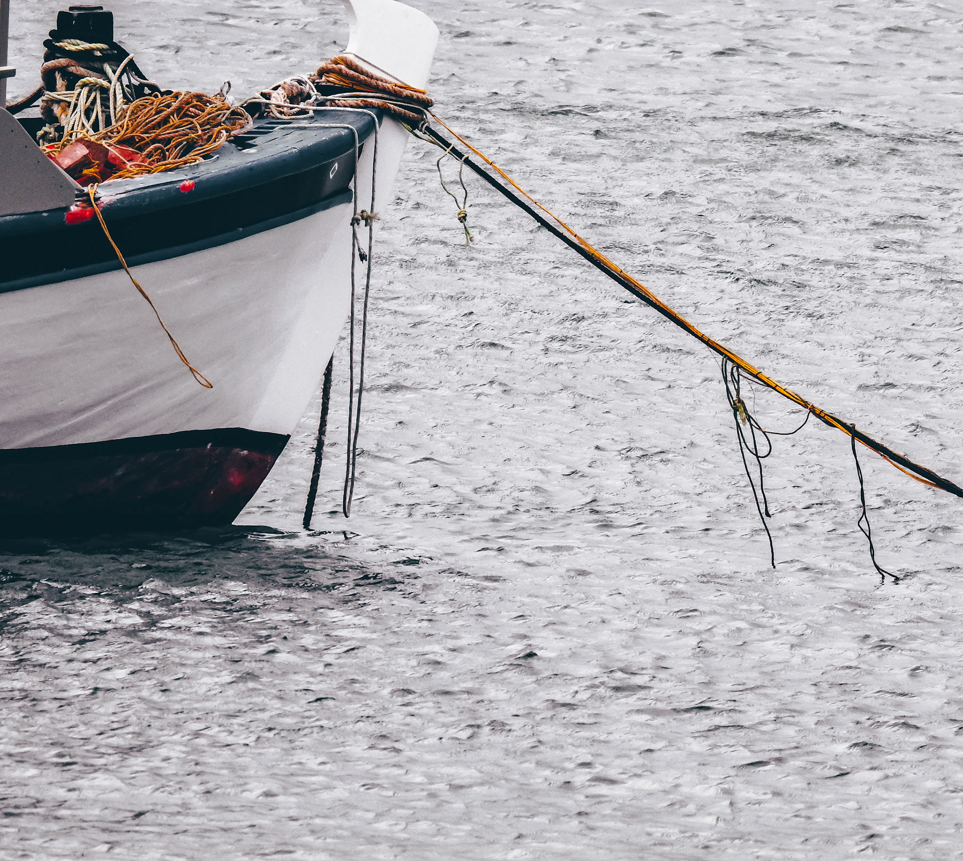 Taken with my Nikon Coolpix P900