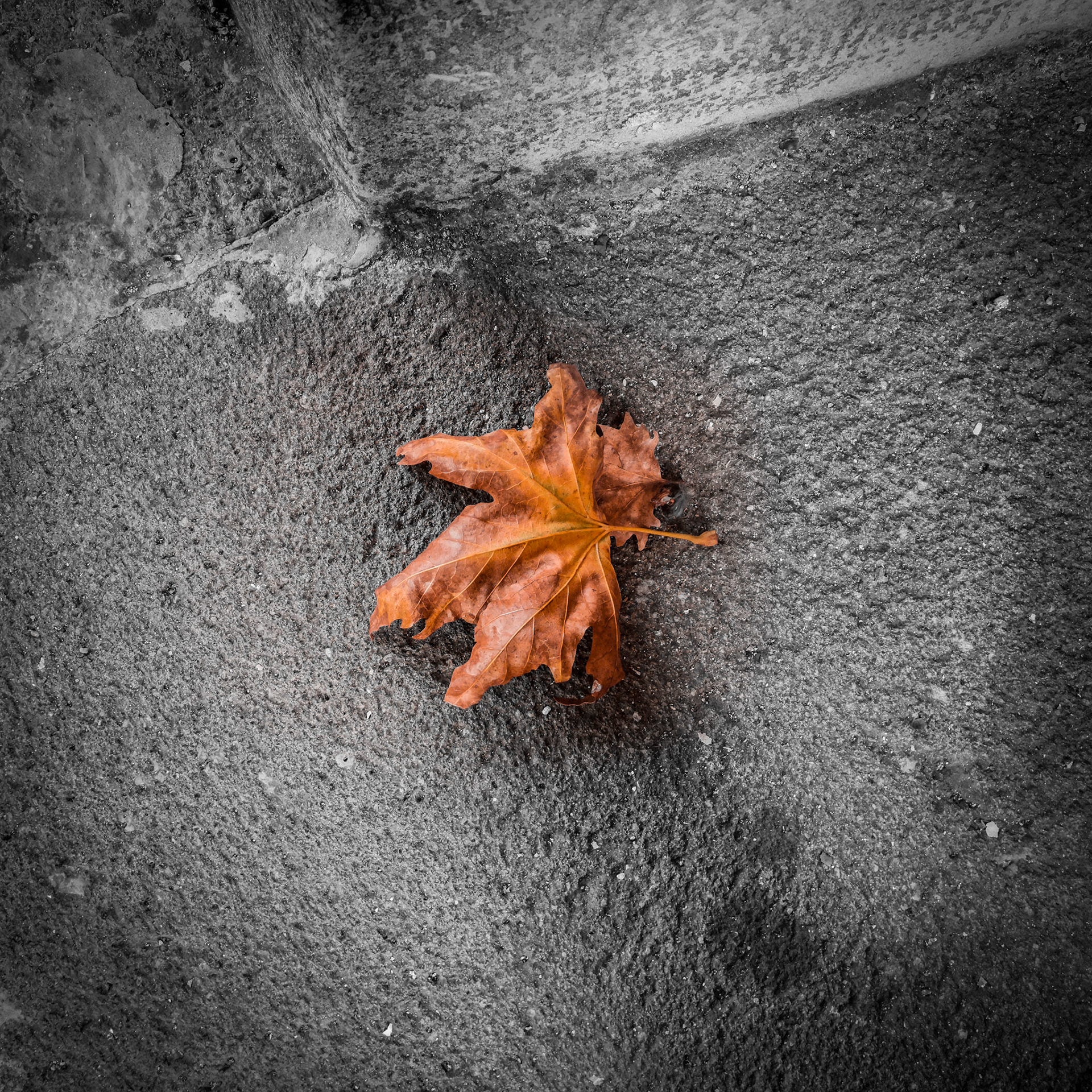 Taken with my Honor View 20