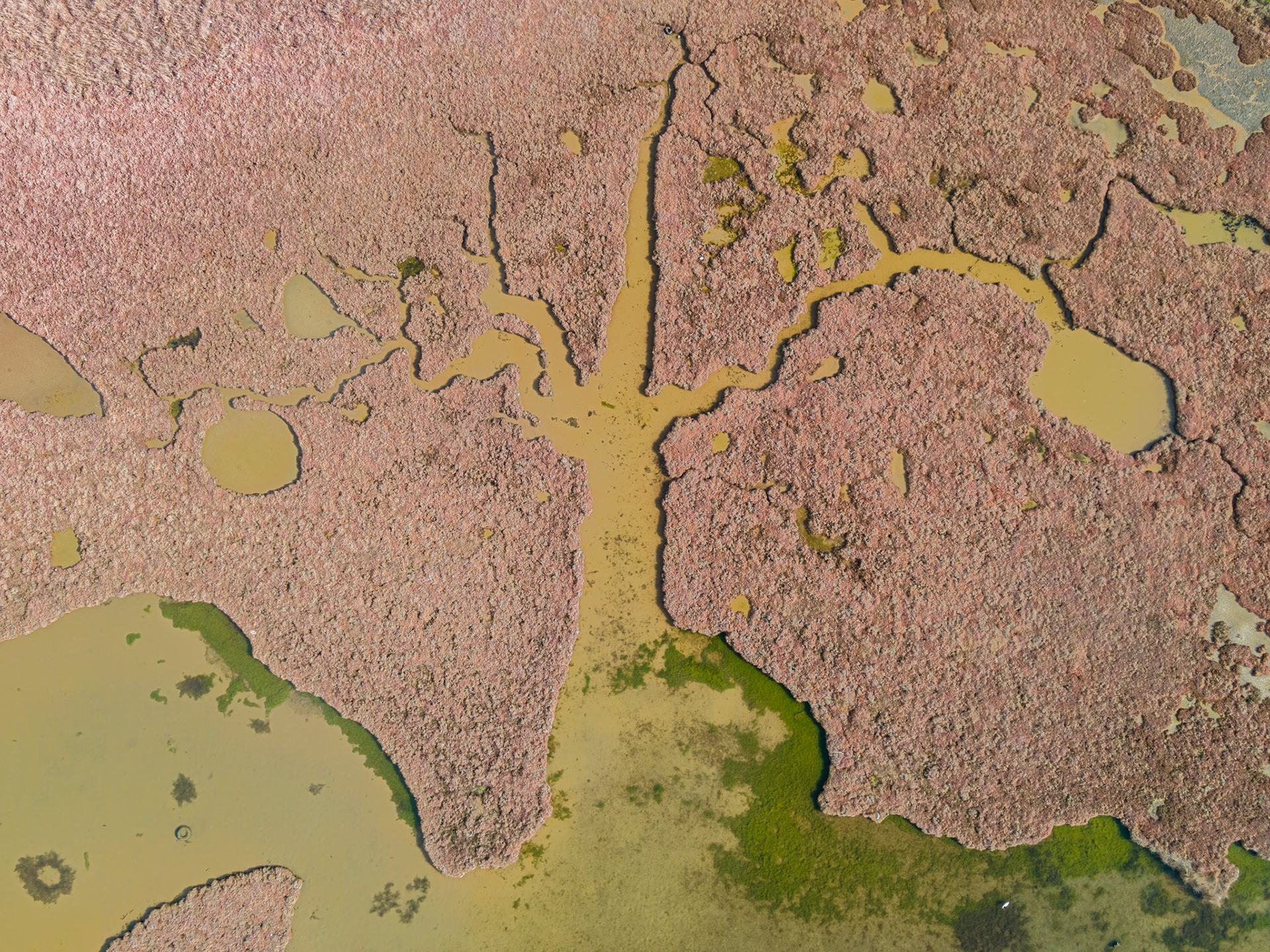 Taken with DJI Mavic Air 2