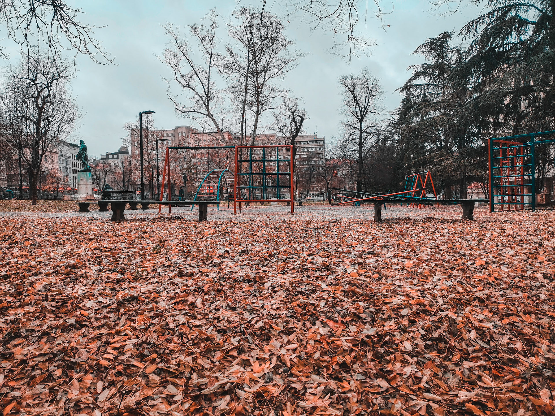 Taken with my Honor View 20