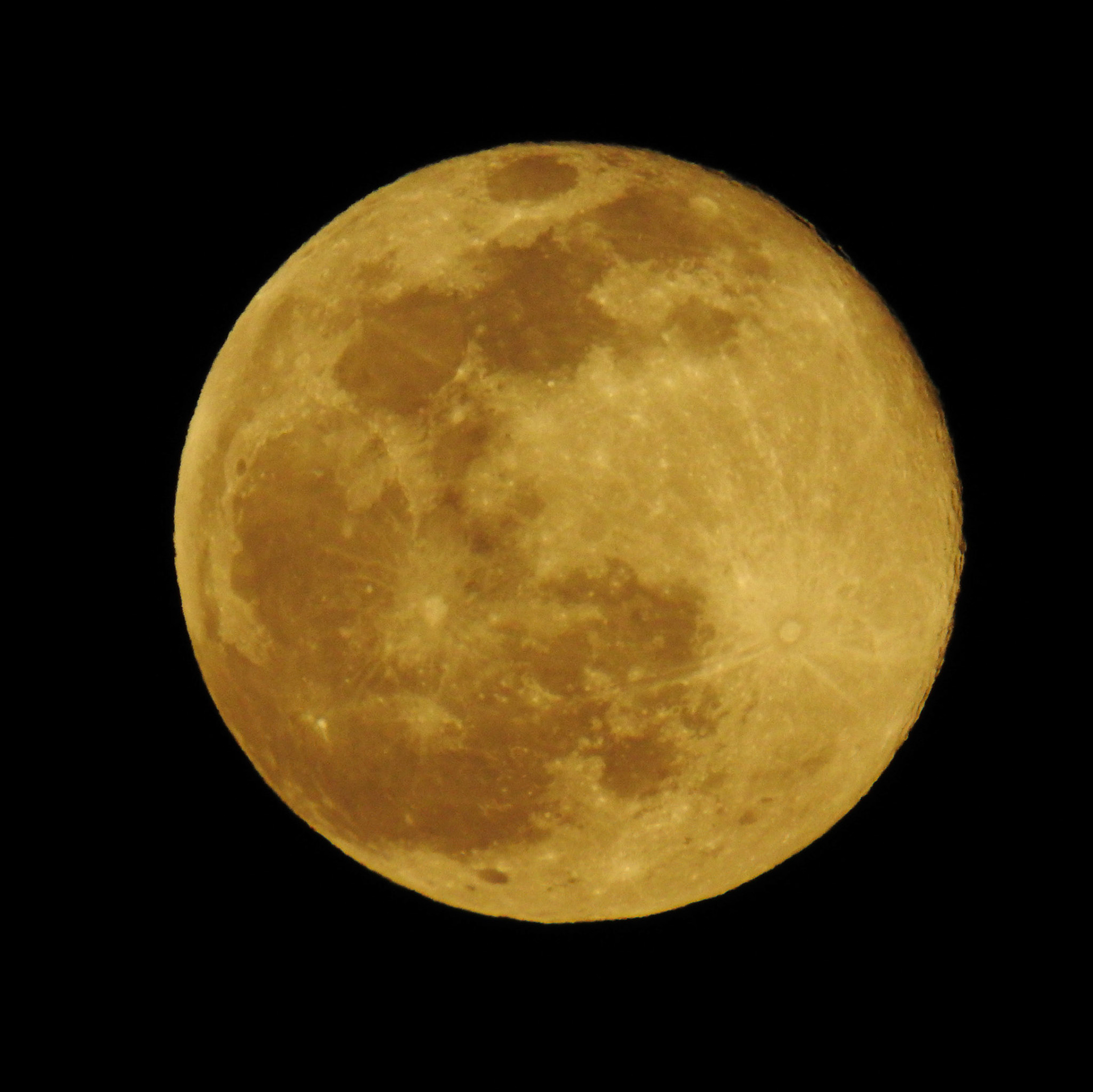 Taken with my Nikon Coolpix P900