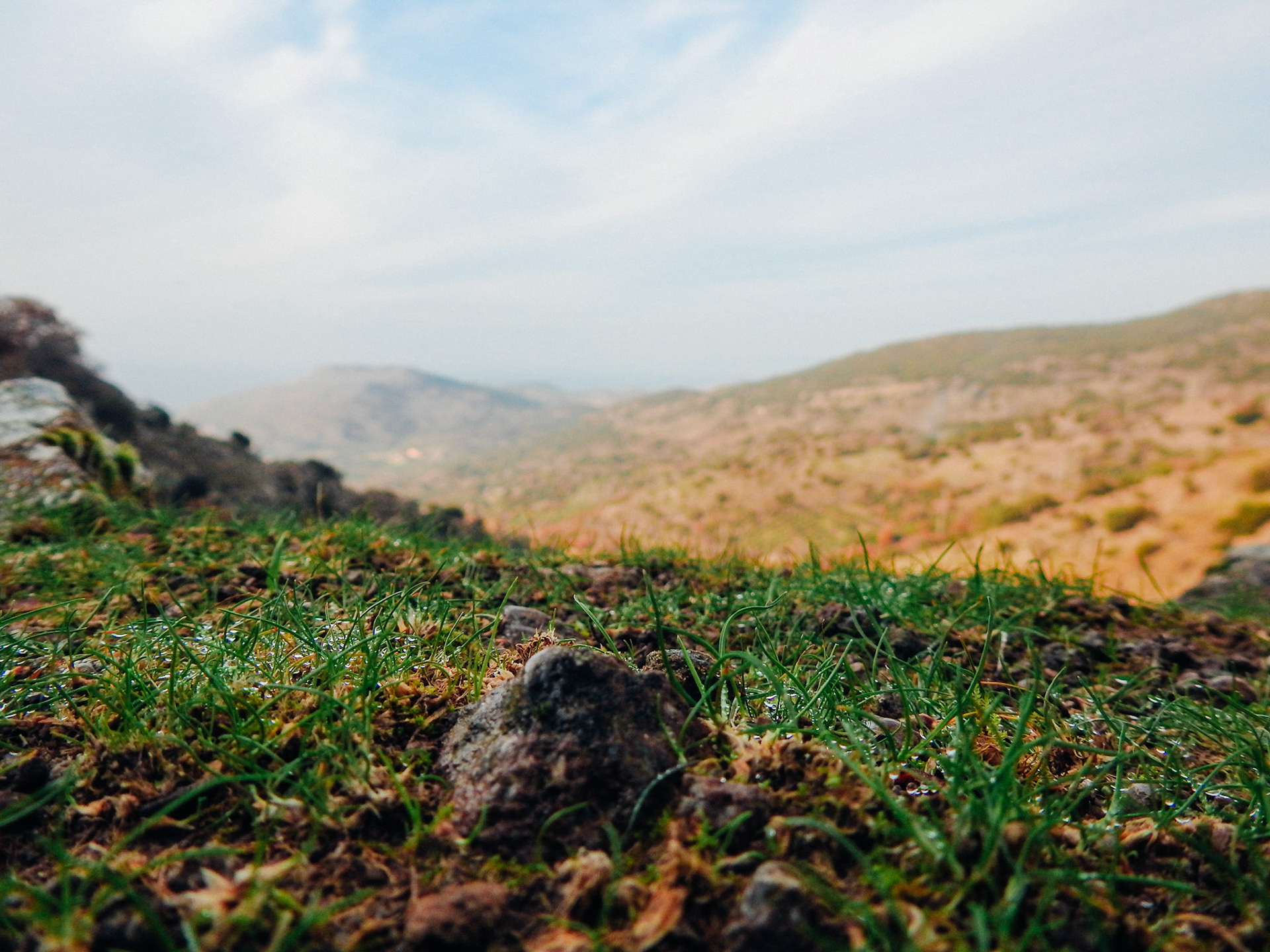 Taken with my Nikon Coolpix P900