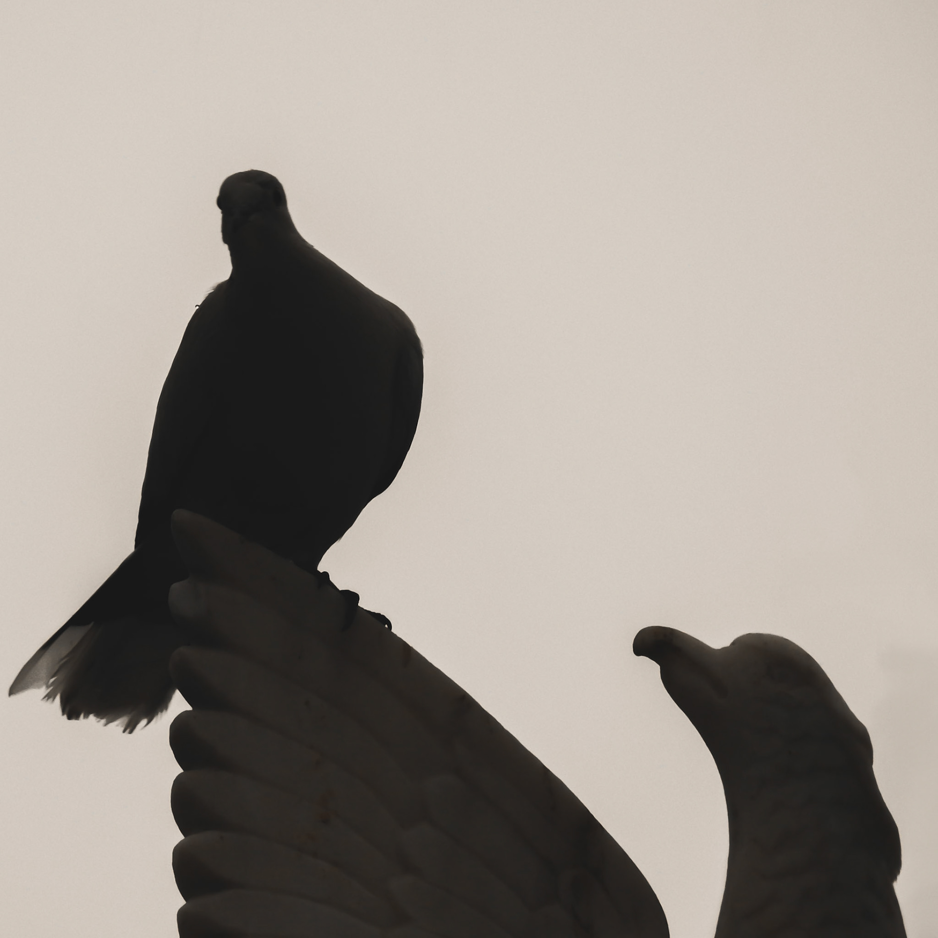 Taken with my Nikon Coolpix P900