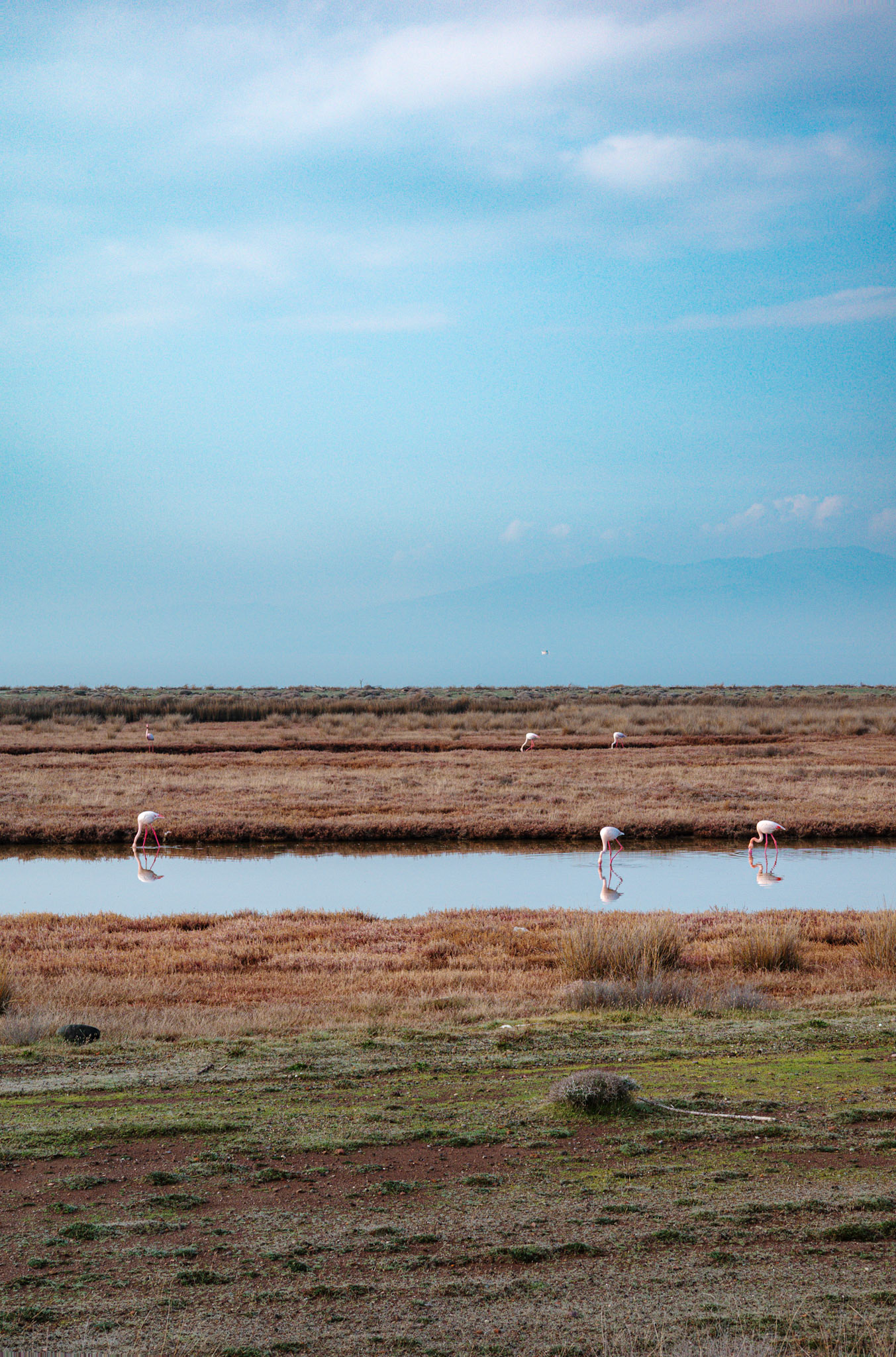 Taken with my Ricoh GR IIIx