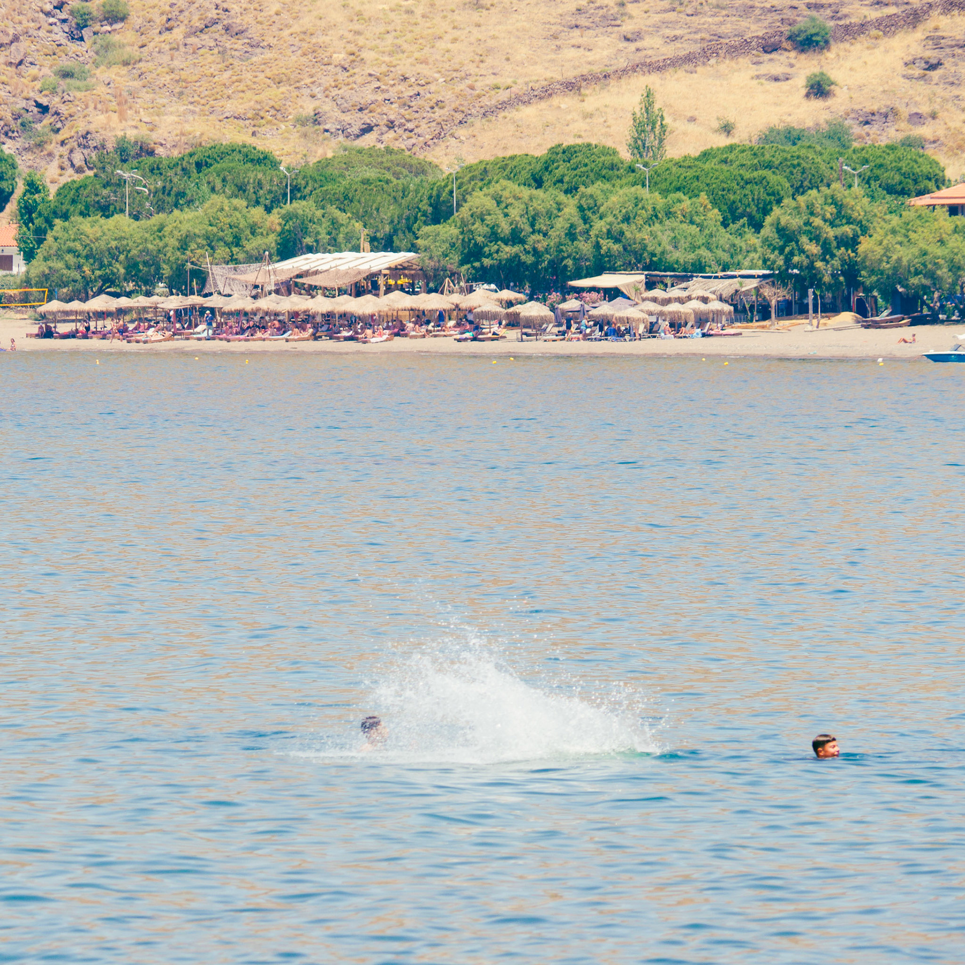 OLYMPUS DIGITAL CAMERA