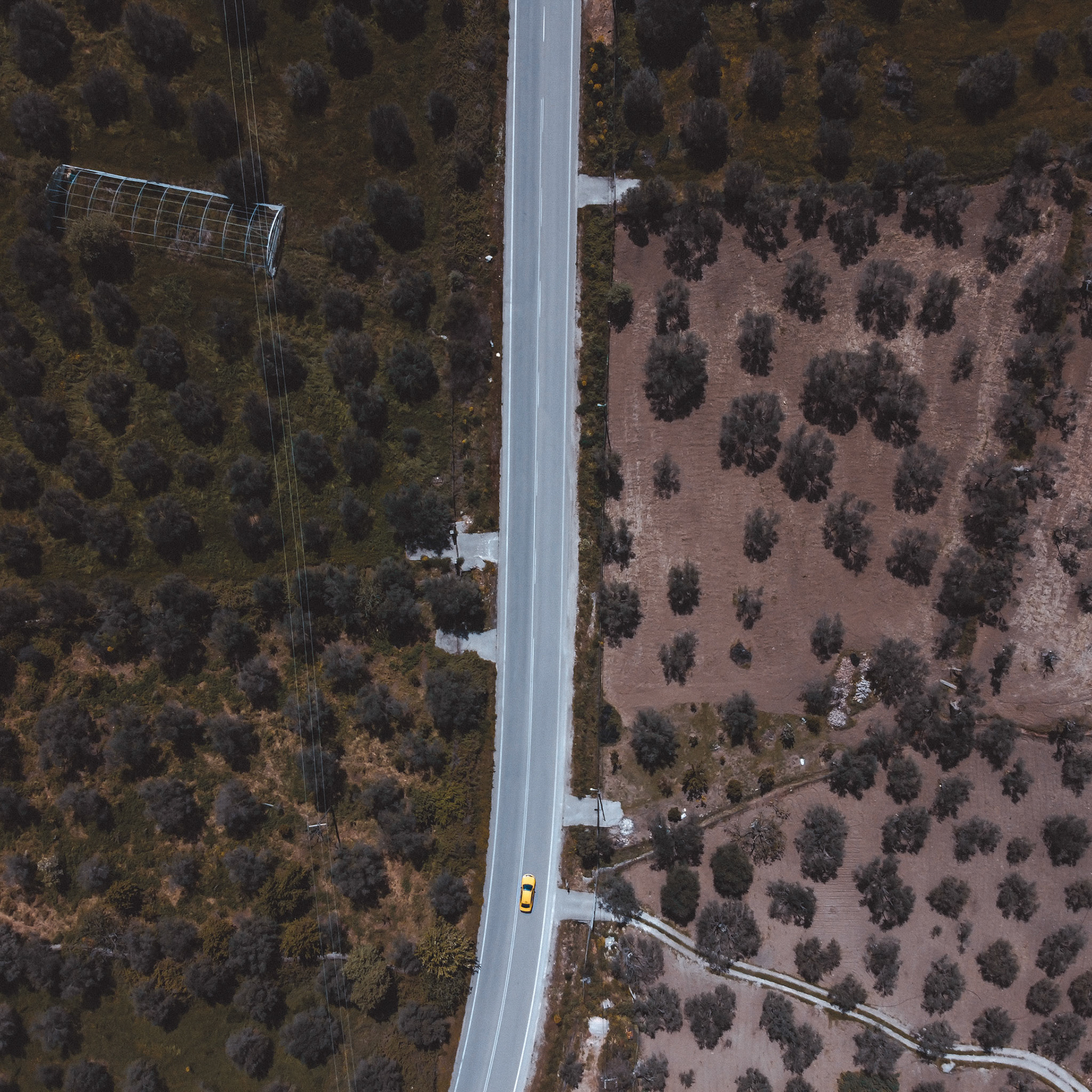 Taken with DJI Mavic Mini