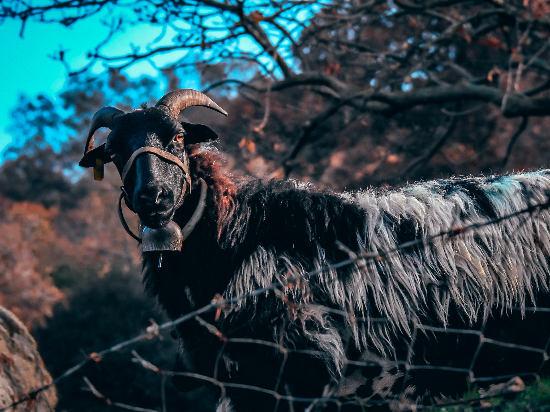 Taken with my Nikon Coolpix P900