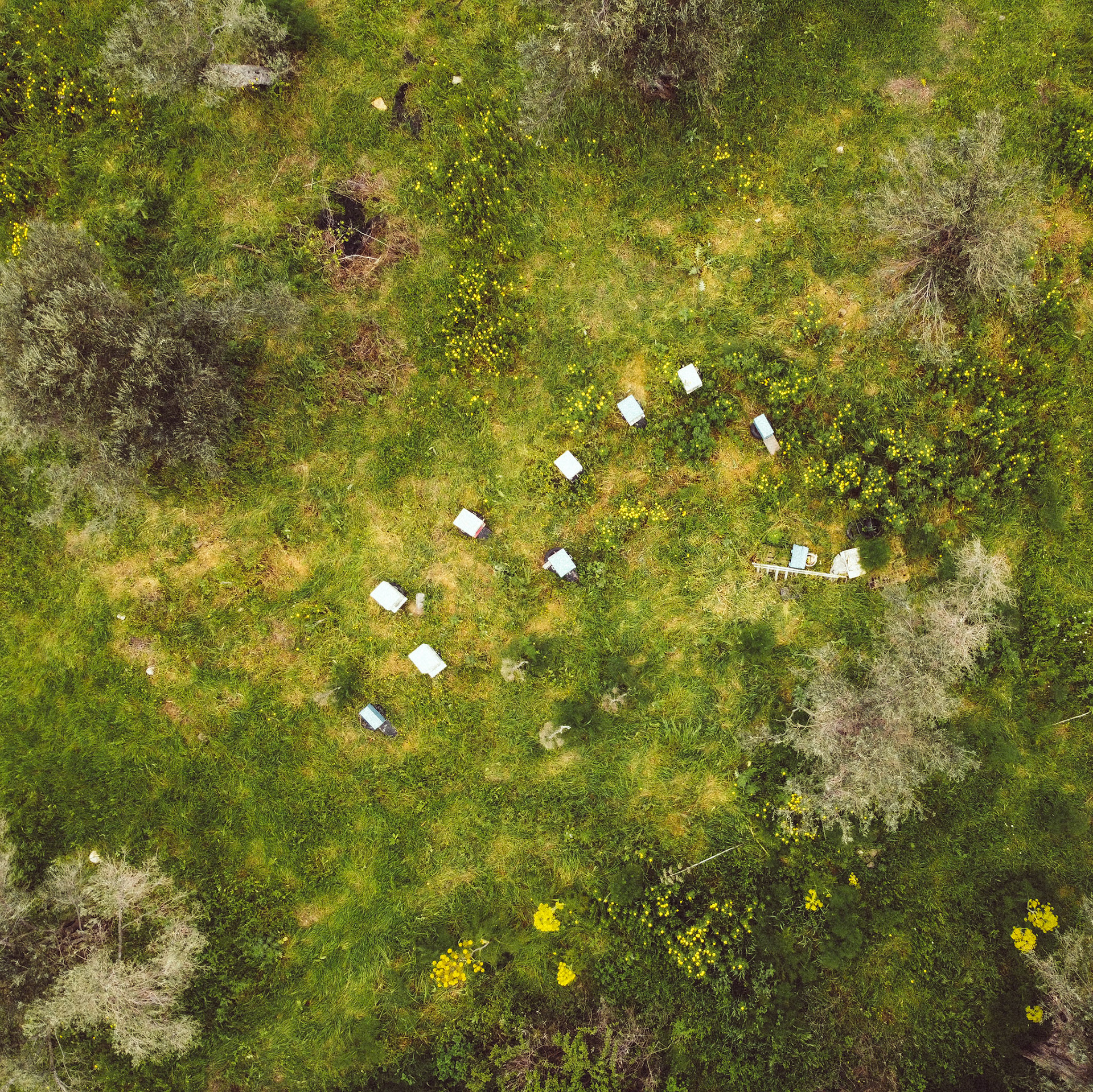 Taken with DJI Mavic Mini