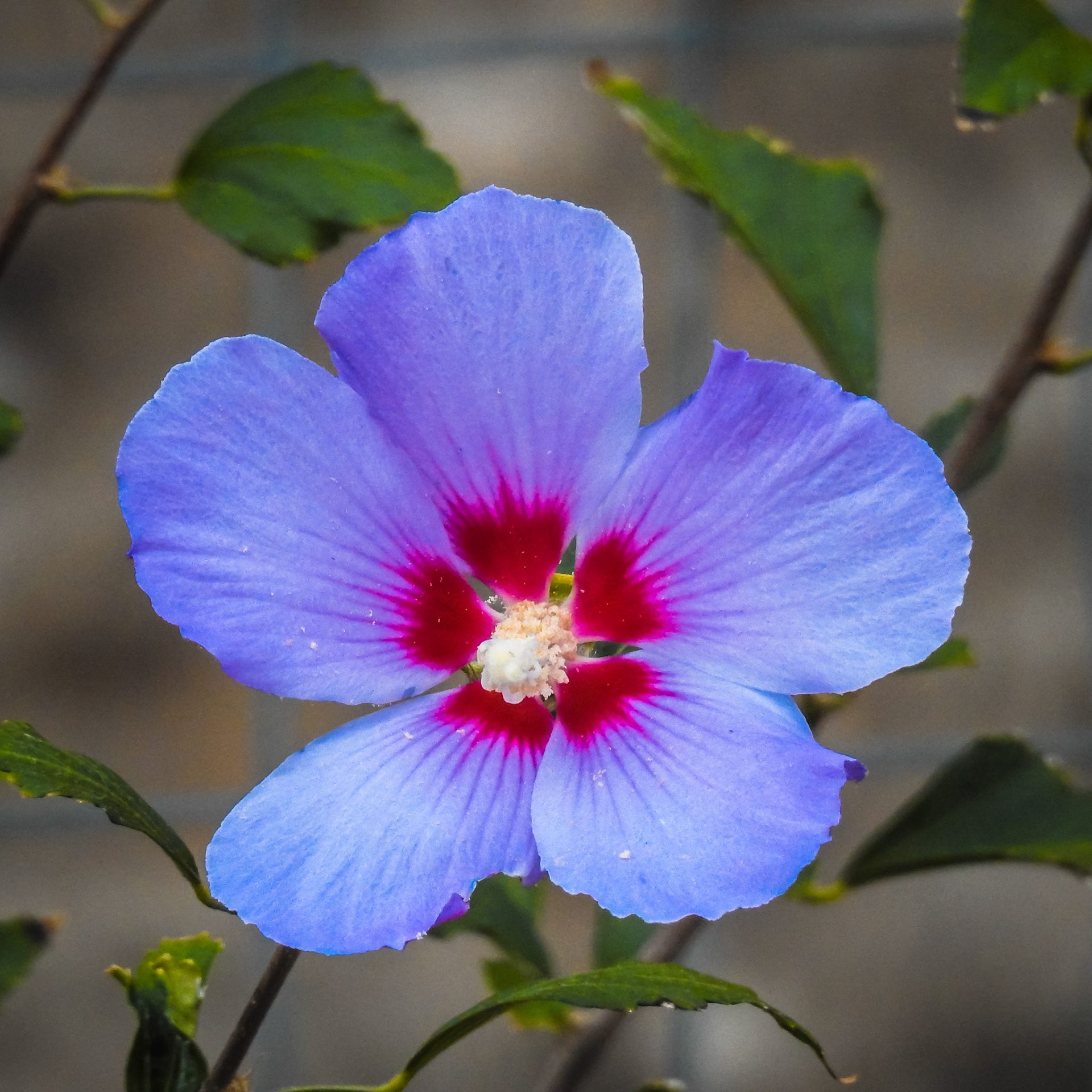 Taken with my Nikon Coolpix P900