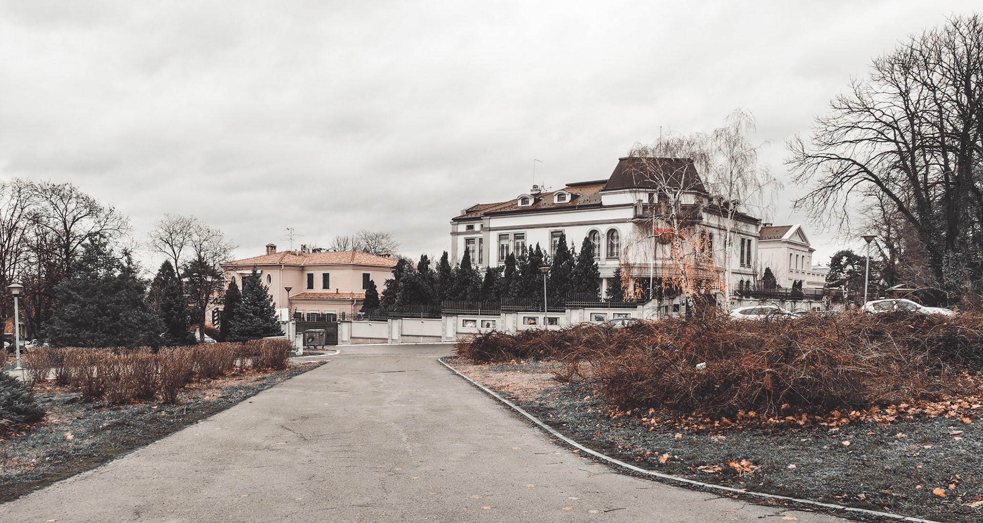 Taken with my Honor View 20