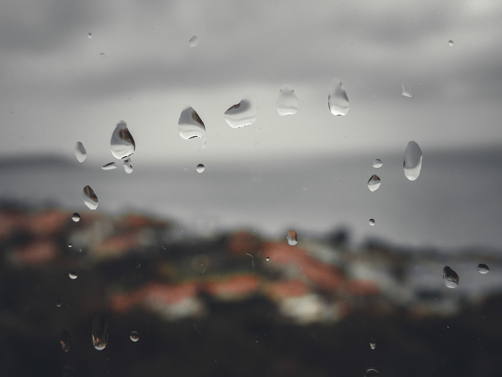 Taken with my Nikon Coolpix P900