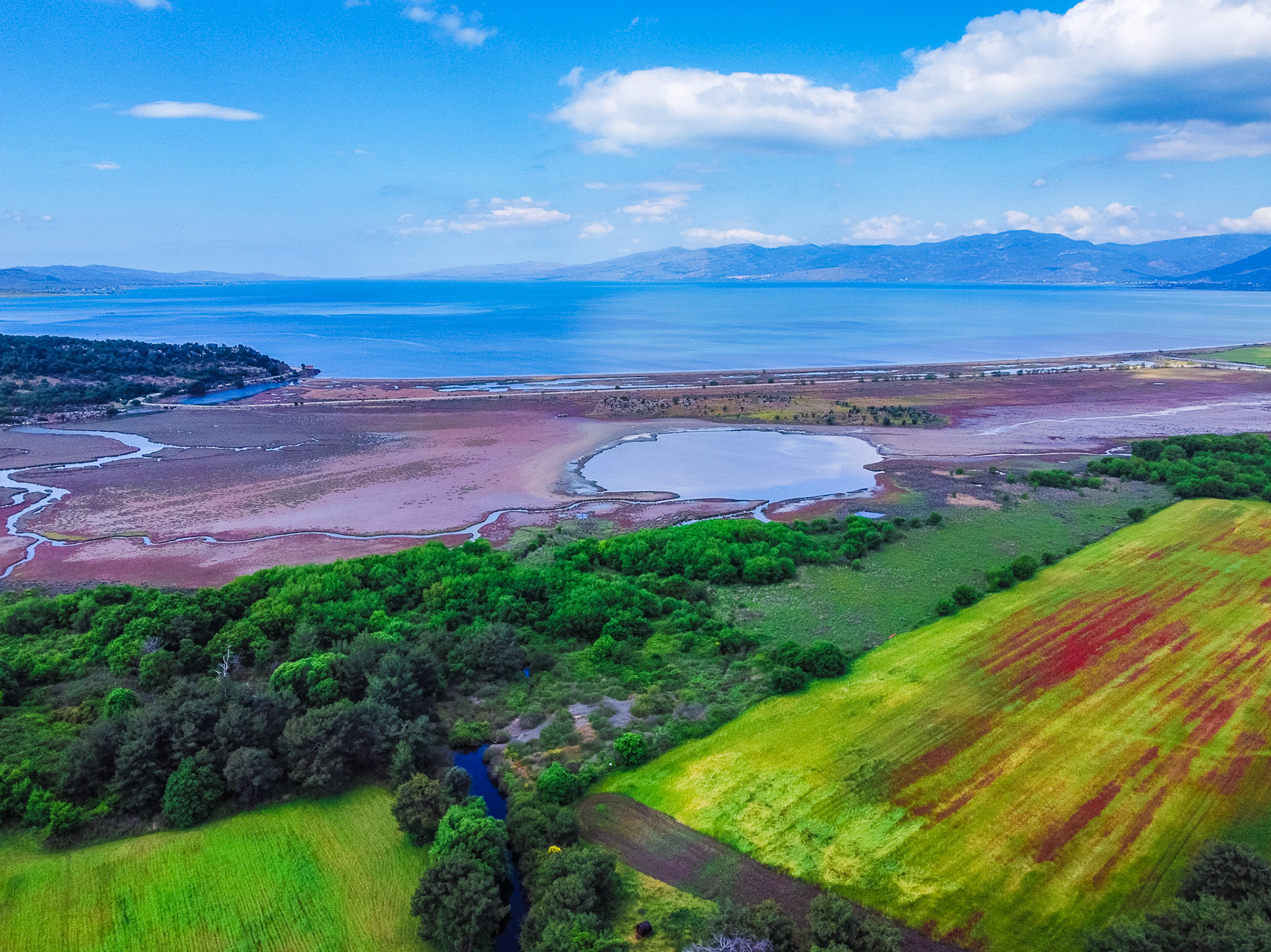 Taken with DJI Mavic Mini