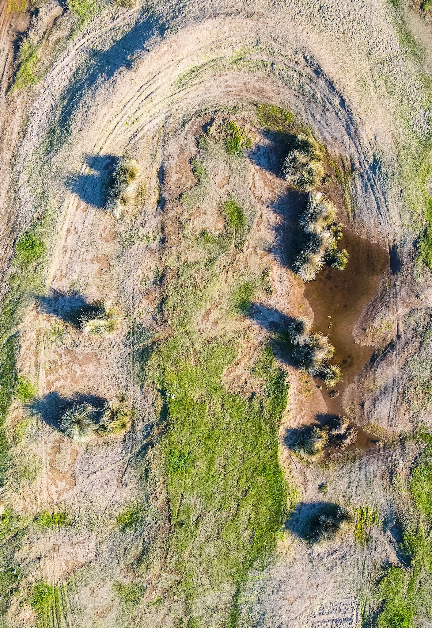 Taken with my DJI Mavic Air 2