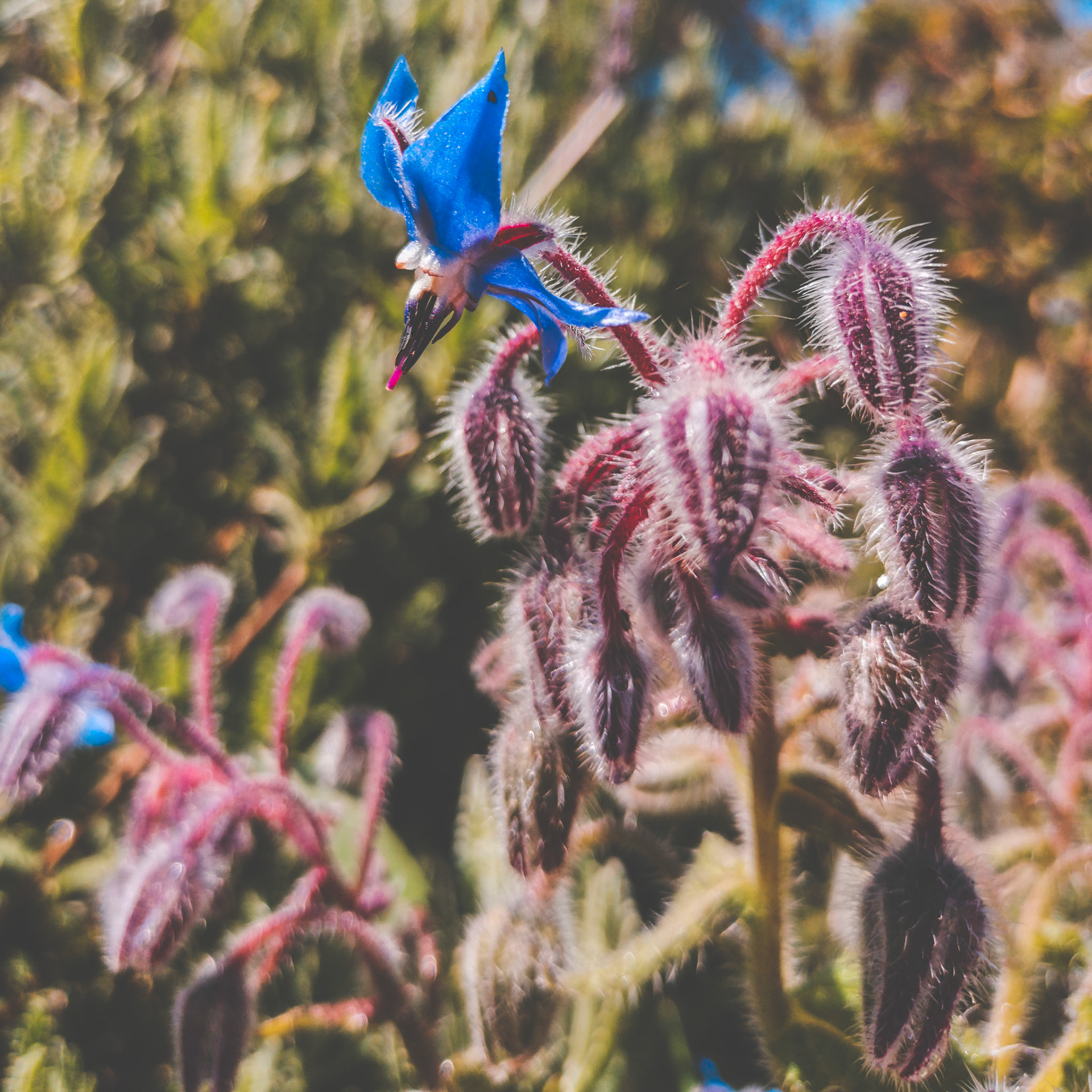 Taken with my Honor View 20