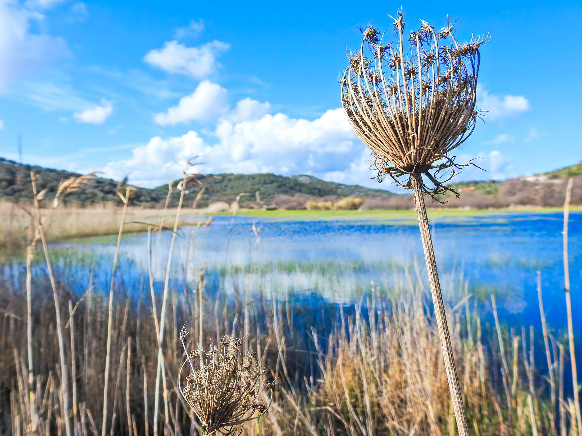 Taken with my Nikon Coolpix P900