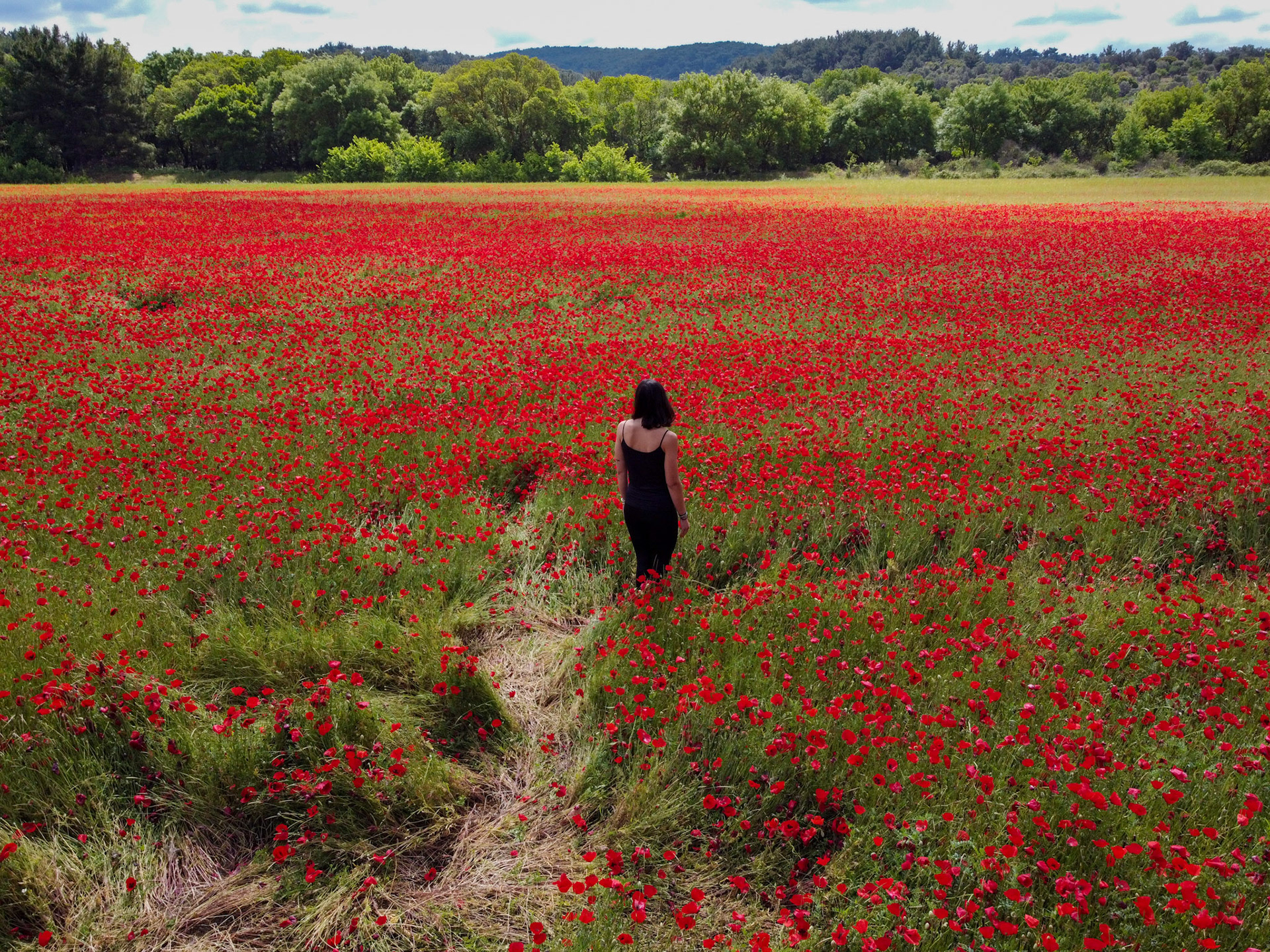 Taken with DJI Mavic Mini