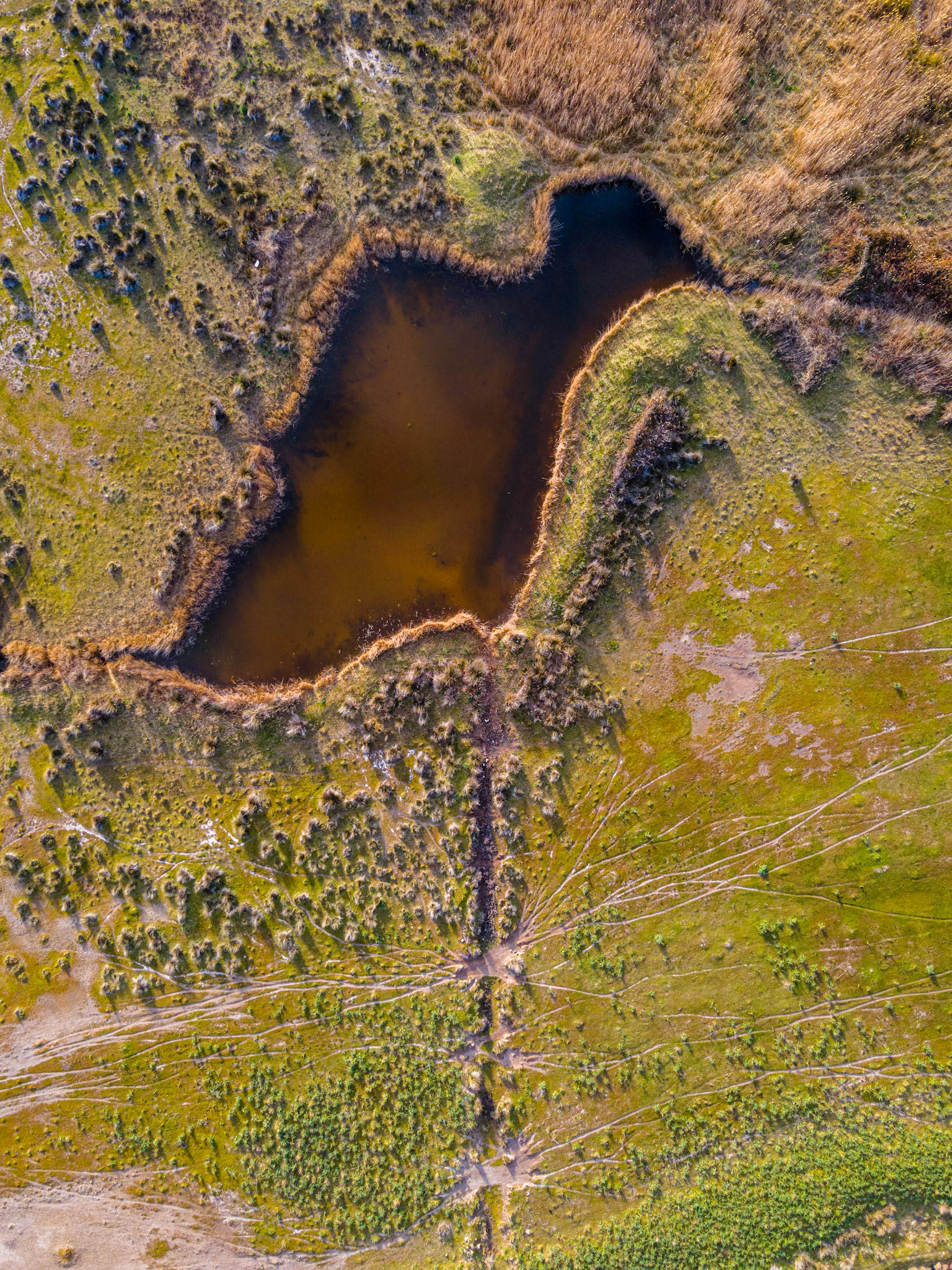 DJI Mavic Air 2