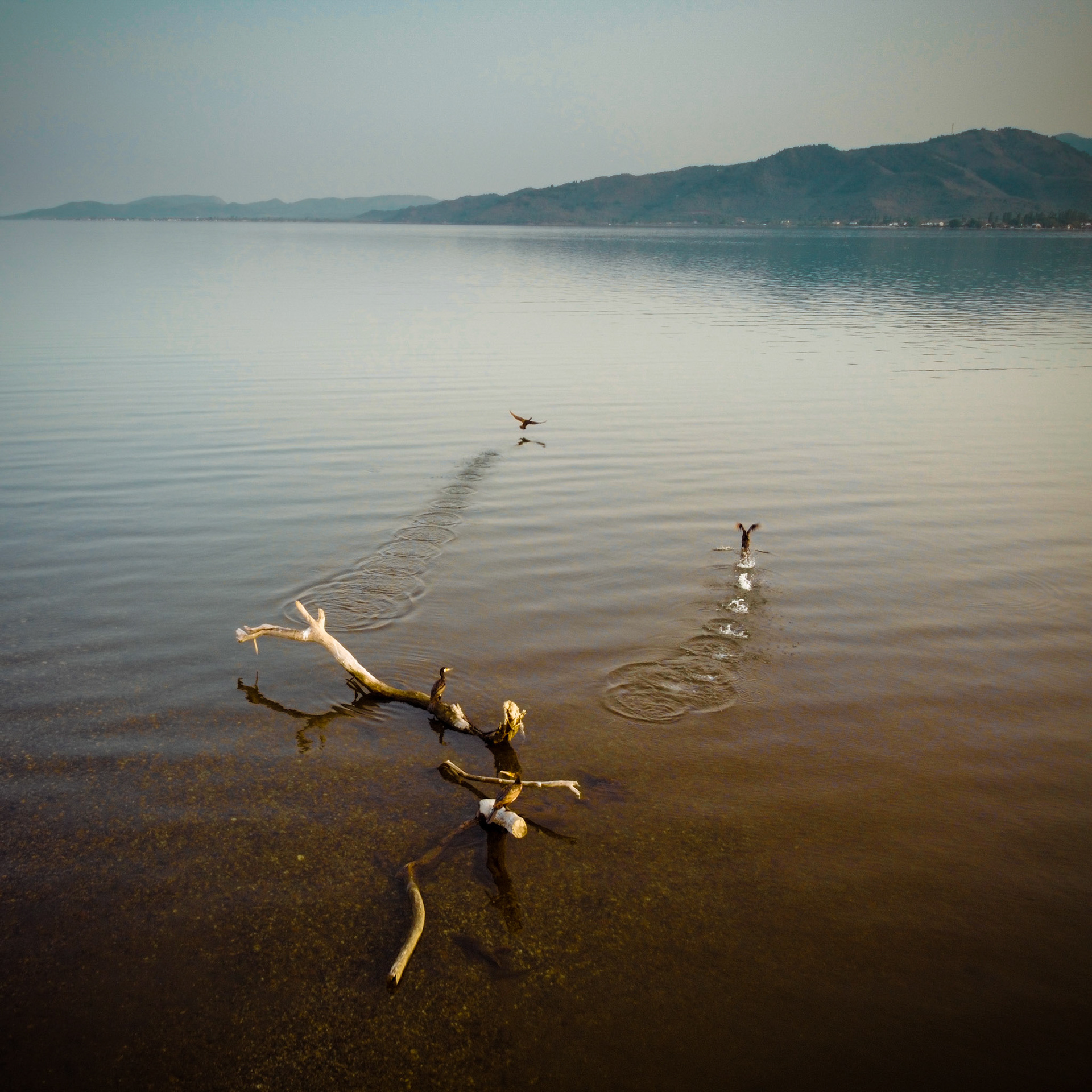 Taken with DJI Mavic Mini