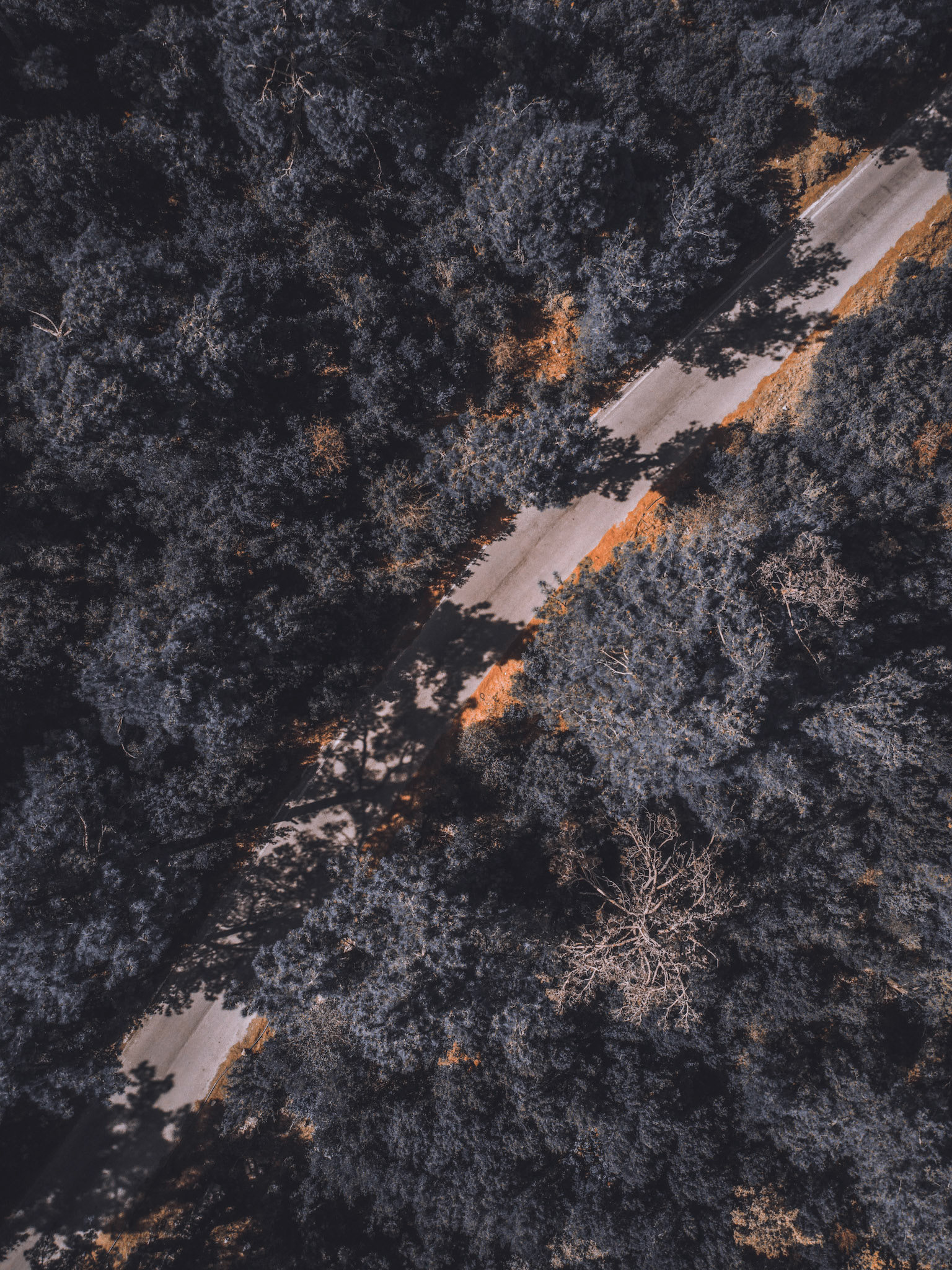 Taken with my DJI Mavic Air 2