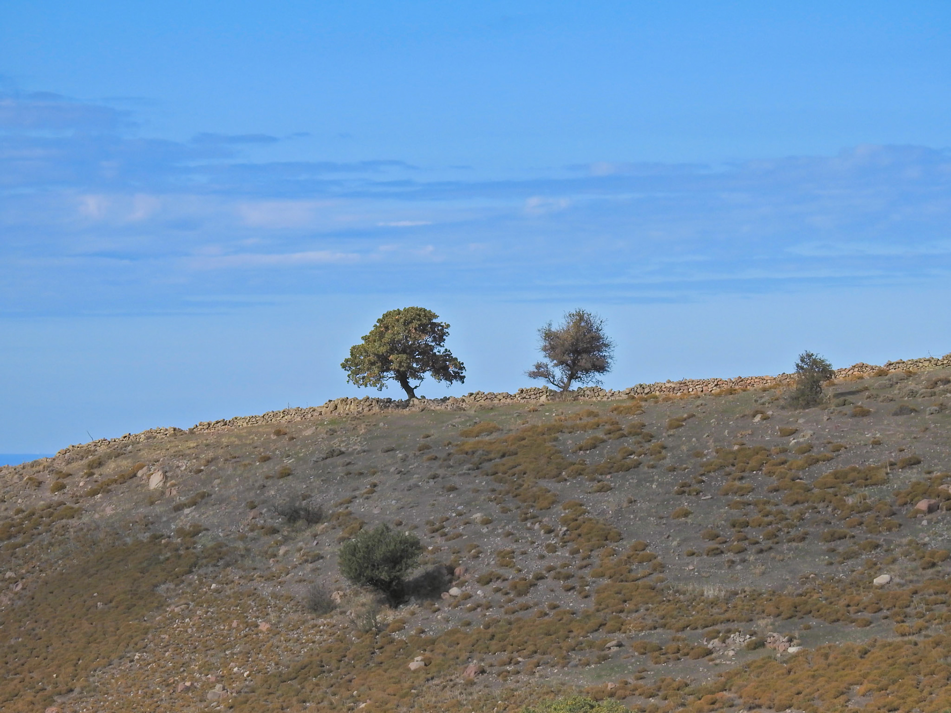 Taken with my Nikon Coolpix P900