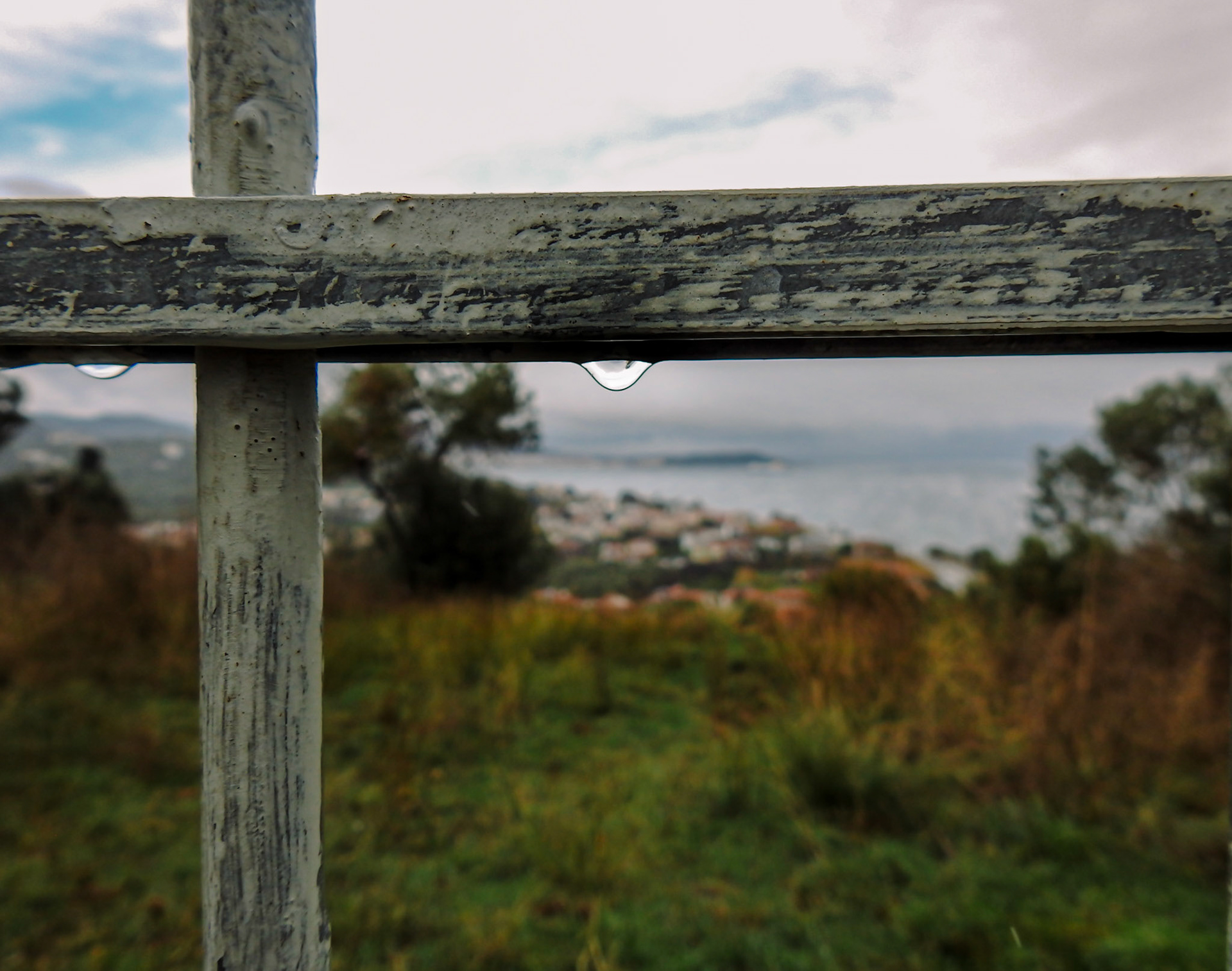 Taken with my Nikon Coolpix P900