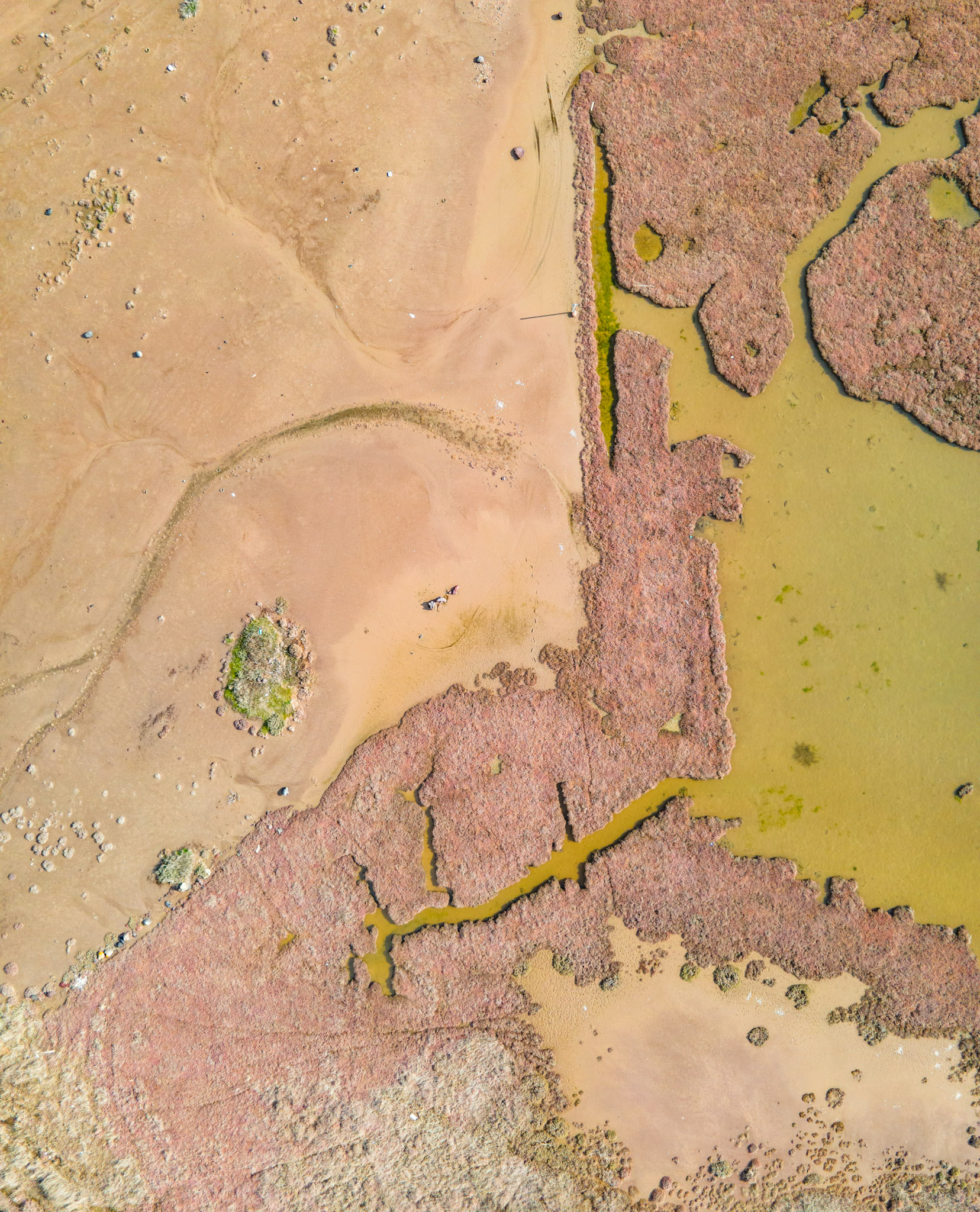 Taken with my DJI Mavic Air 2