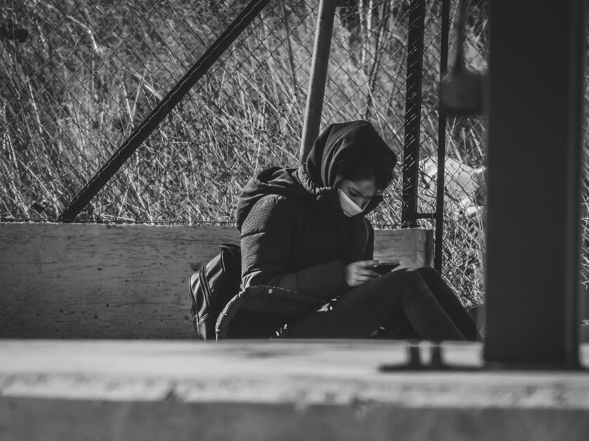 Taken with my Nikon Coolpix P900