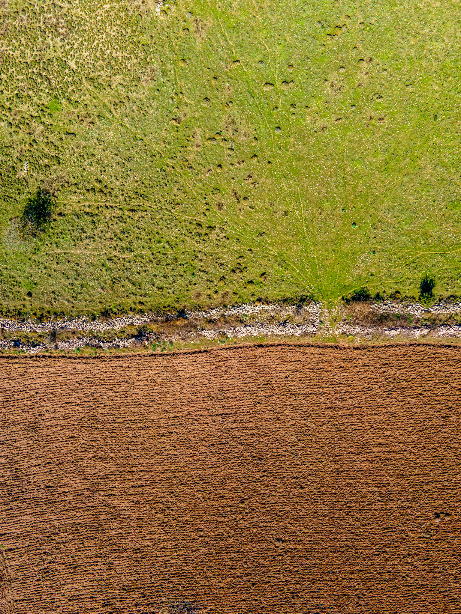 DJI Mavic Air 2