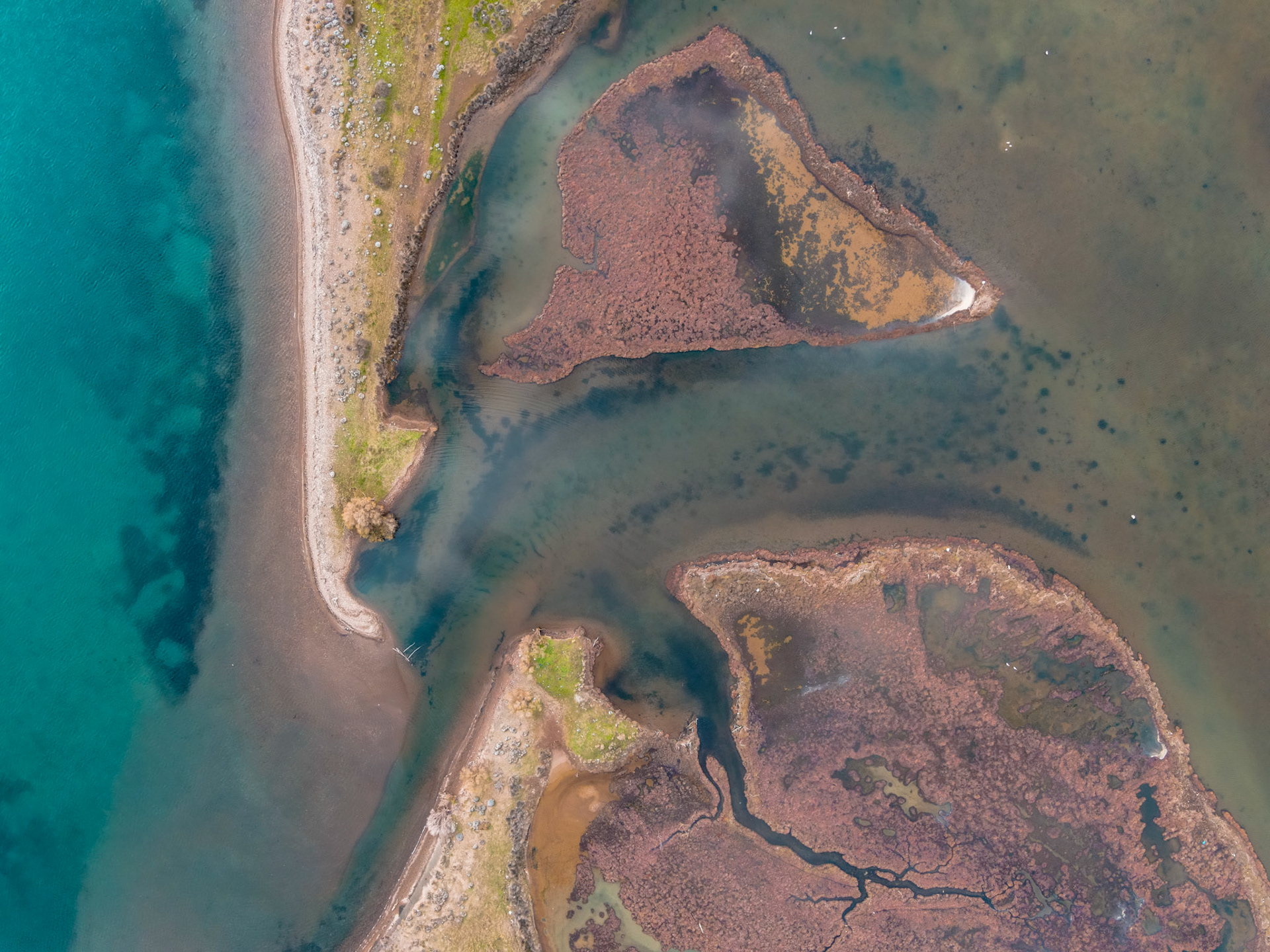 To me it looks like a dolphin trying to bite a hook.. Taken with my DJI Mavic Air 2