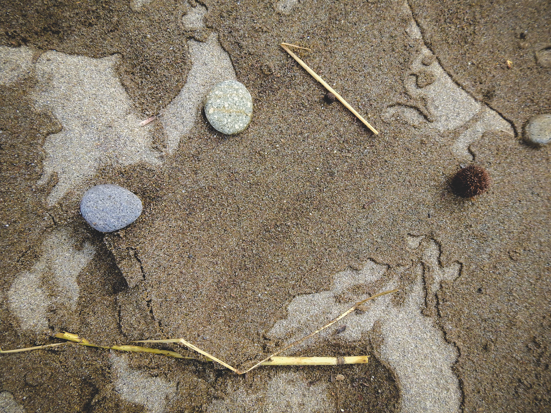 Taken with my Nikon Coolpix P900