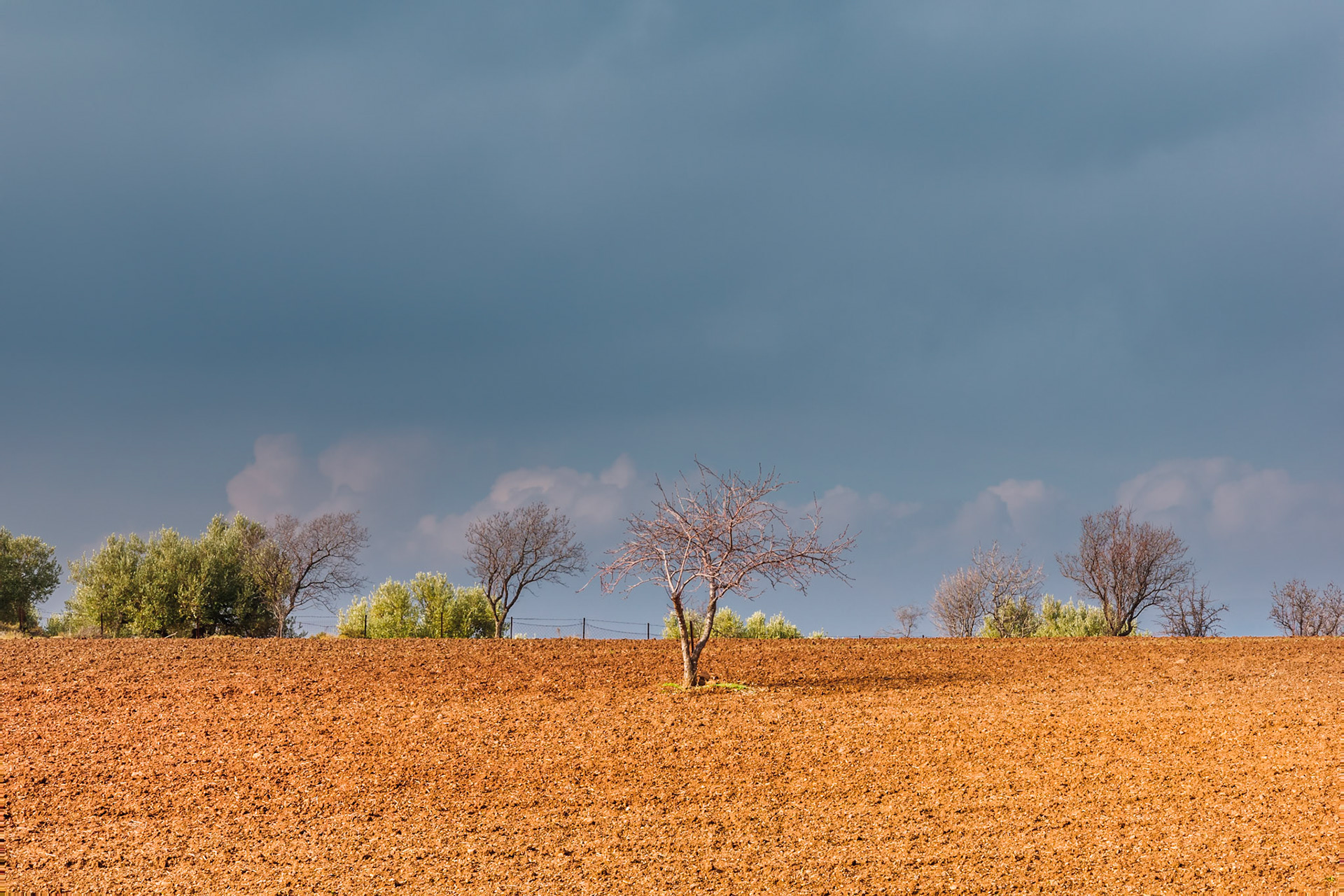 Taken with my Ricoh GR IIIx