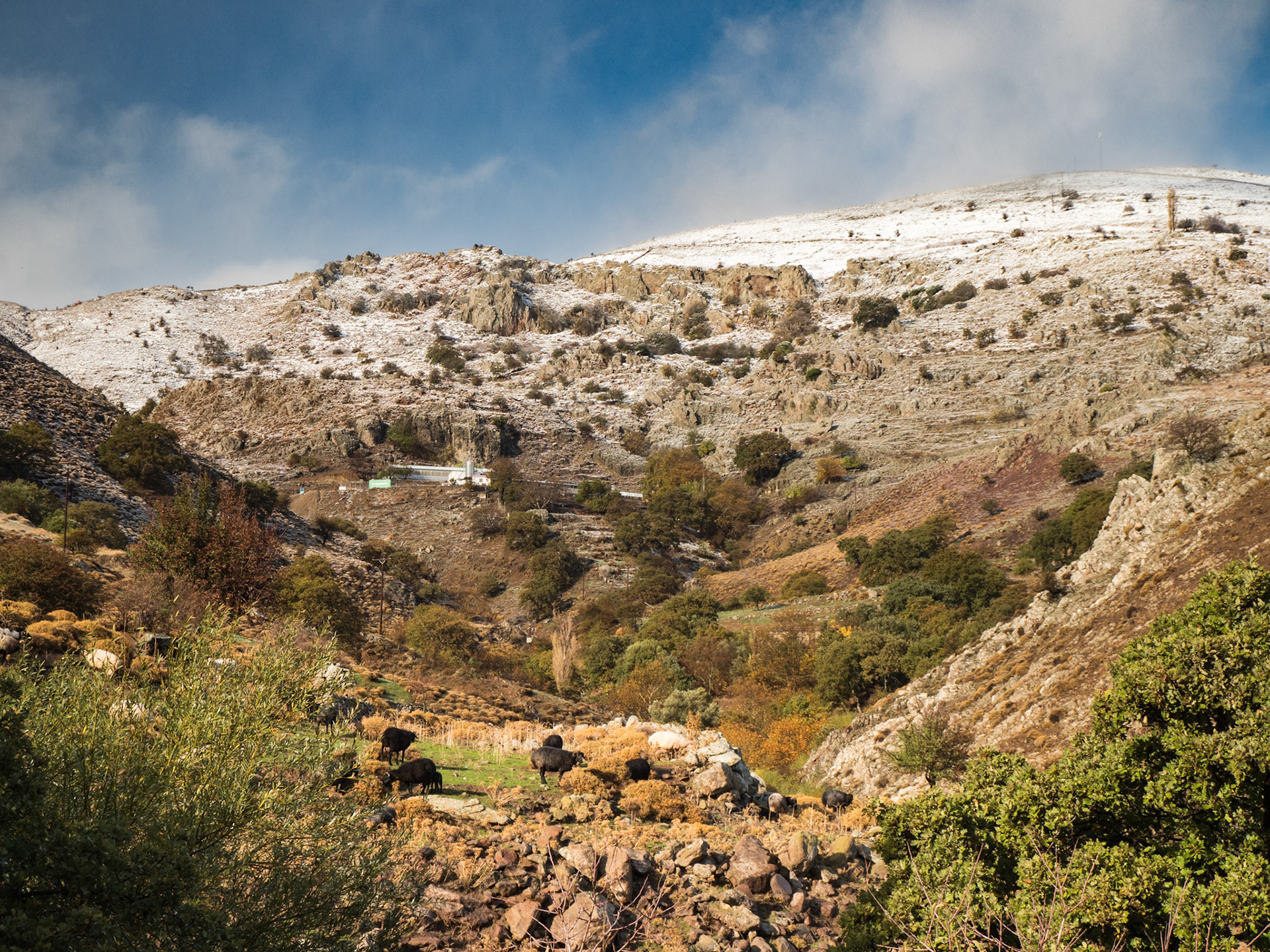 OLYMPUS DIGITAL CAMERA