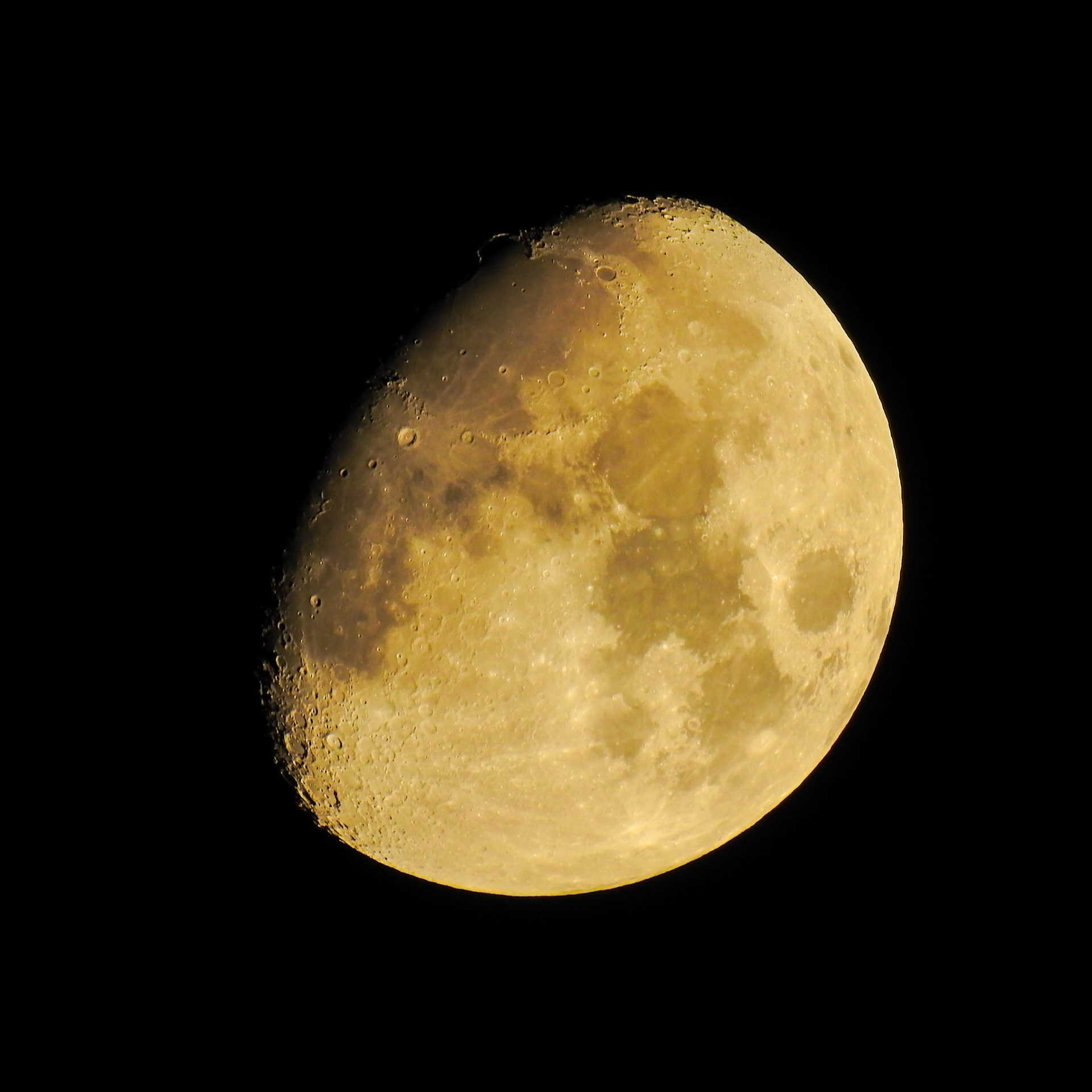 Taken with my Nikon Coolpix P900