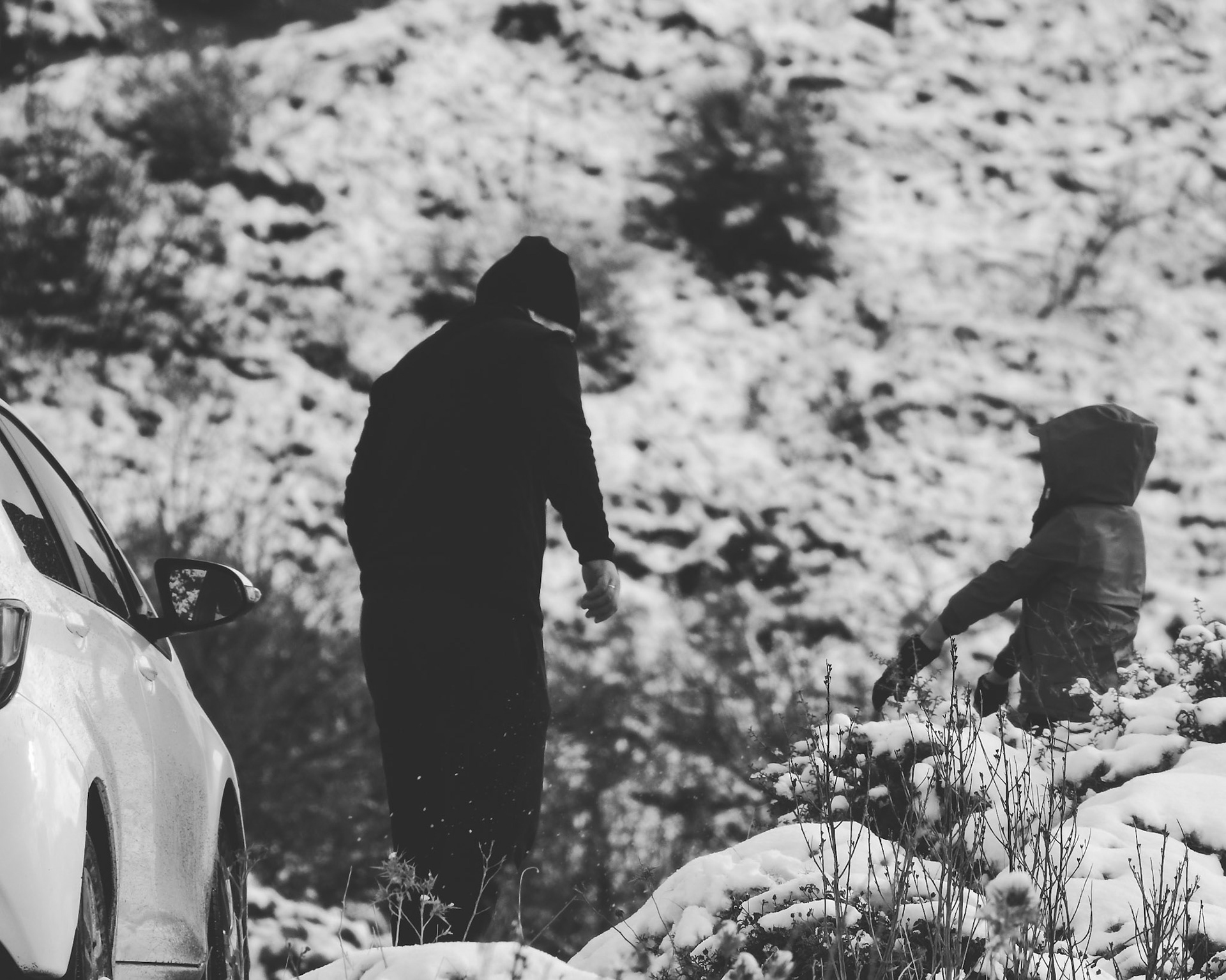 Taken with my Nikon Coolpix P900