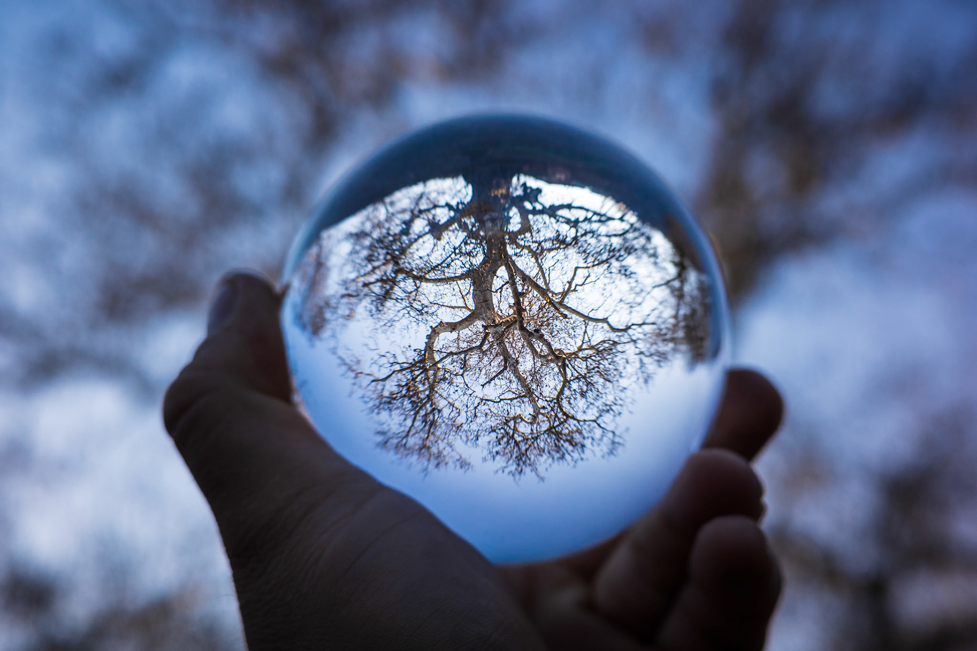 Taken with my Ricoh GR IIIx