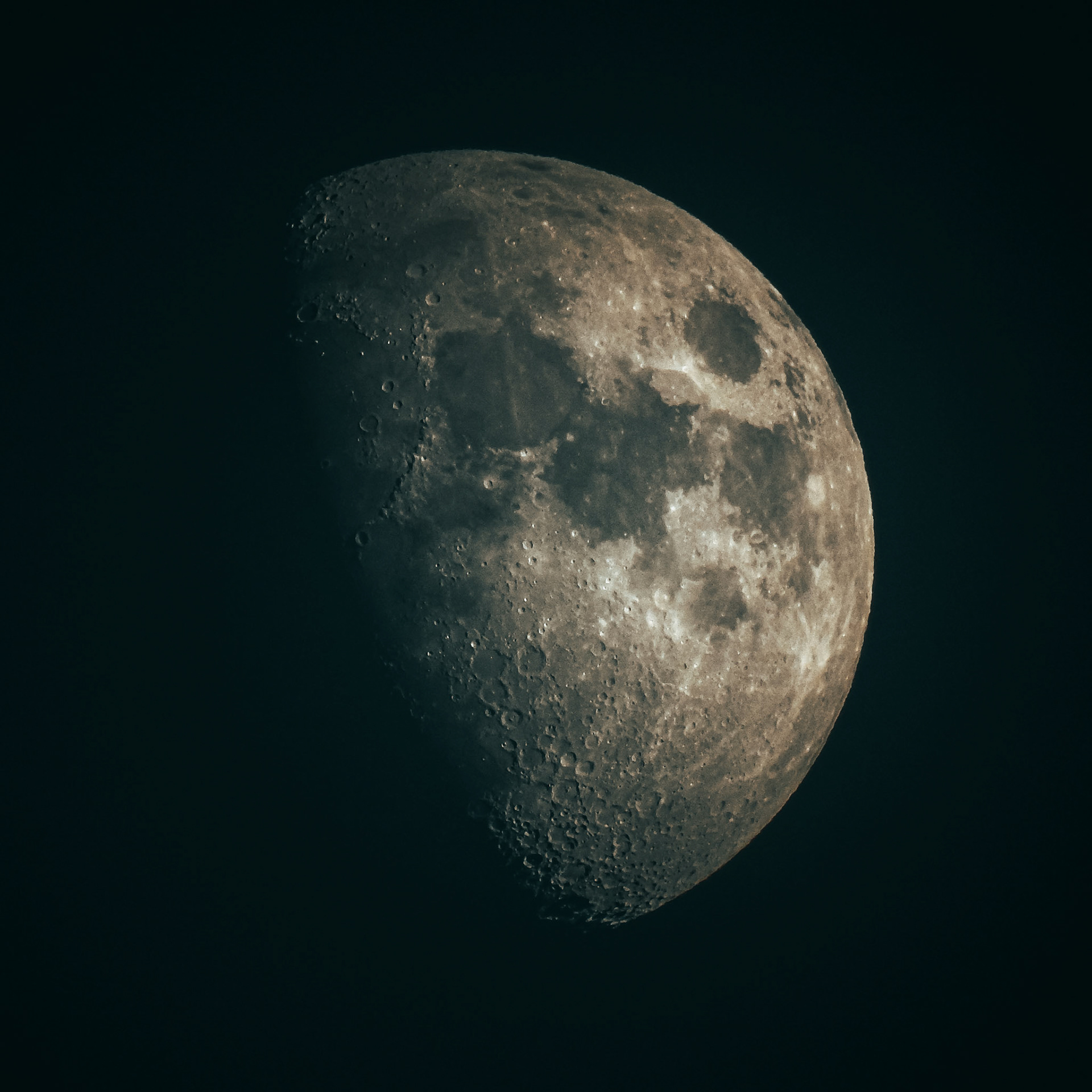 Taken with my Nikon Coolpix P900