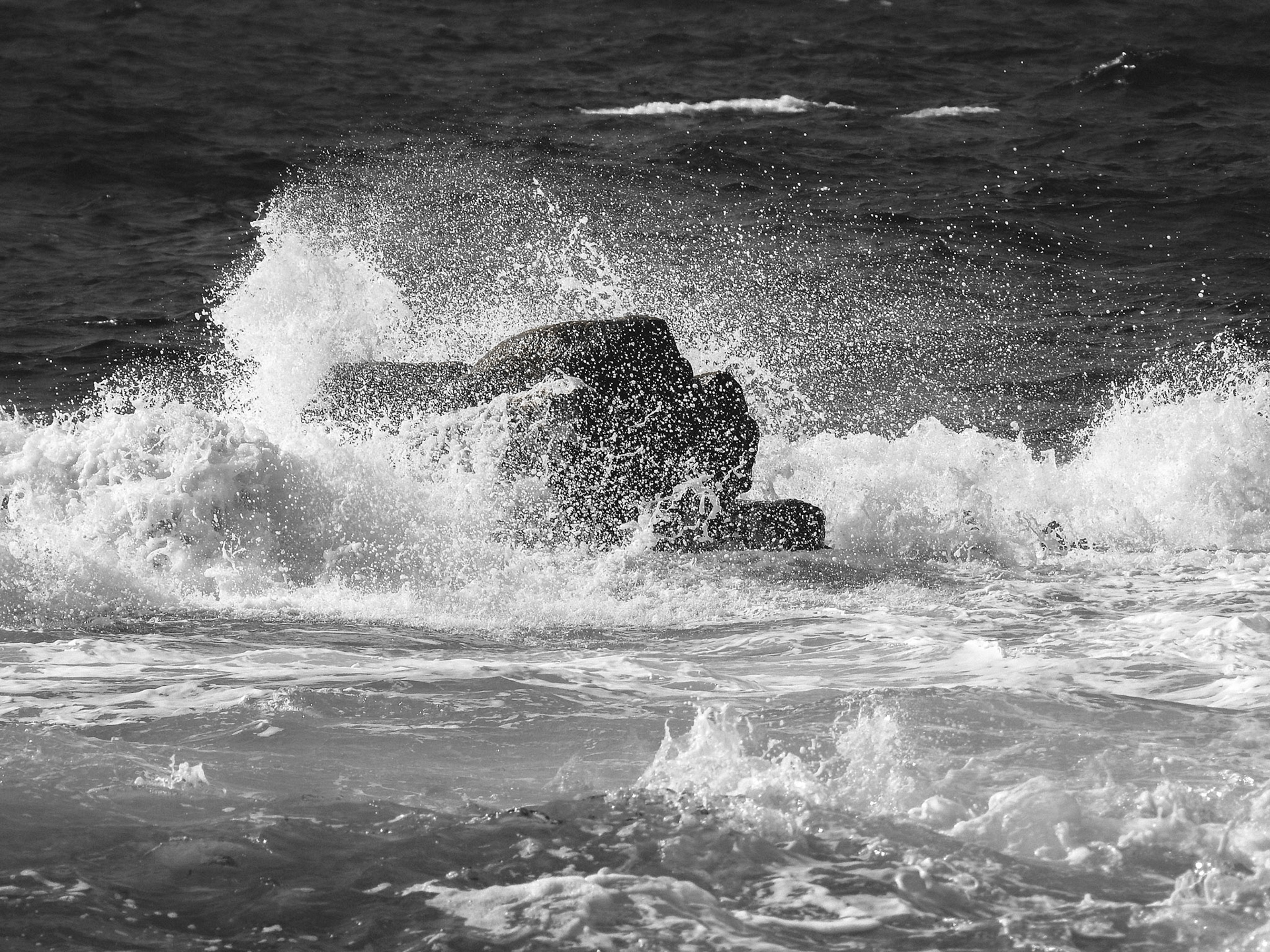 Taken with my Nikon Coolpix P900