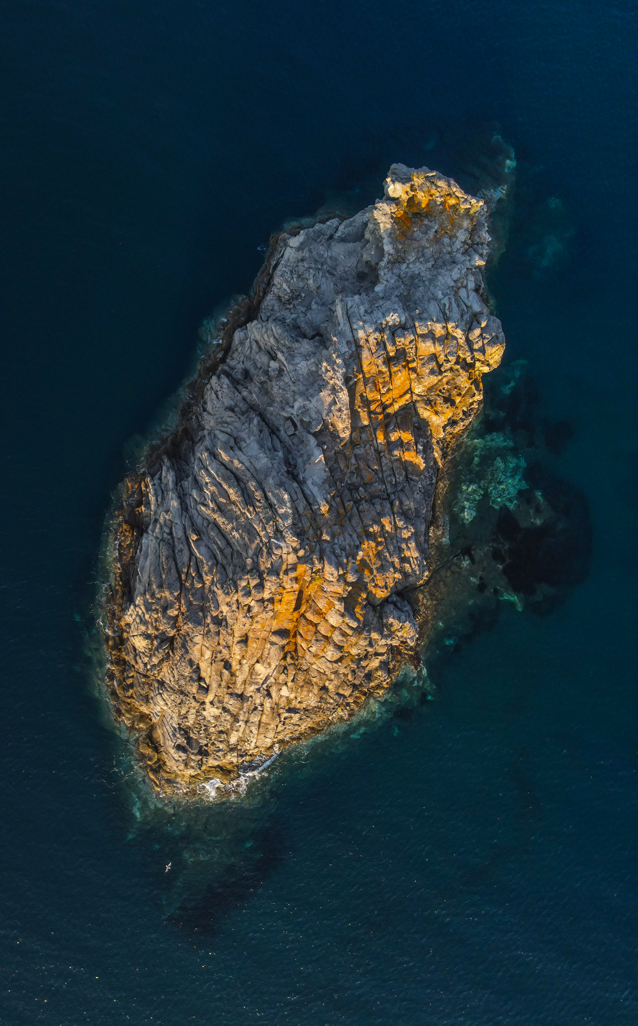 Taken with my DJI Mavic Air 2