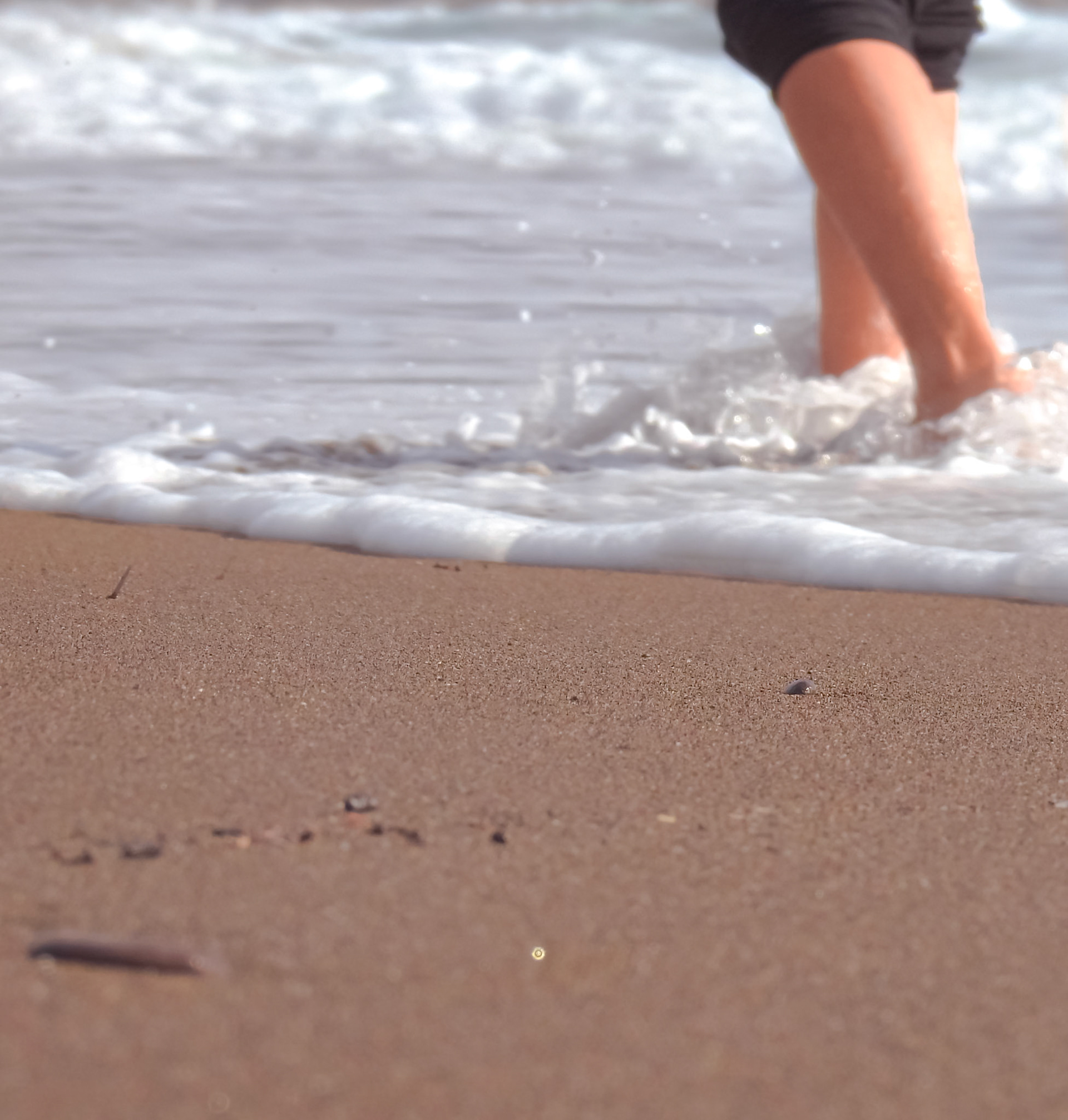 Taken with my Nikon Coolpix P900