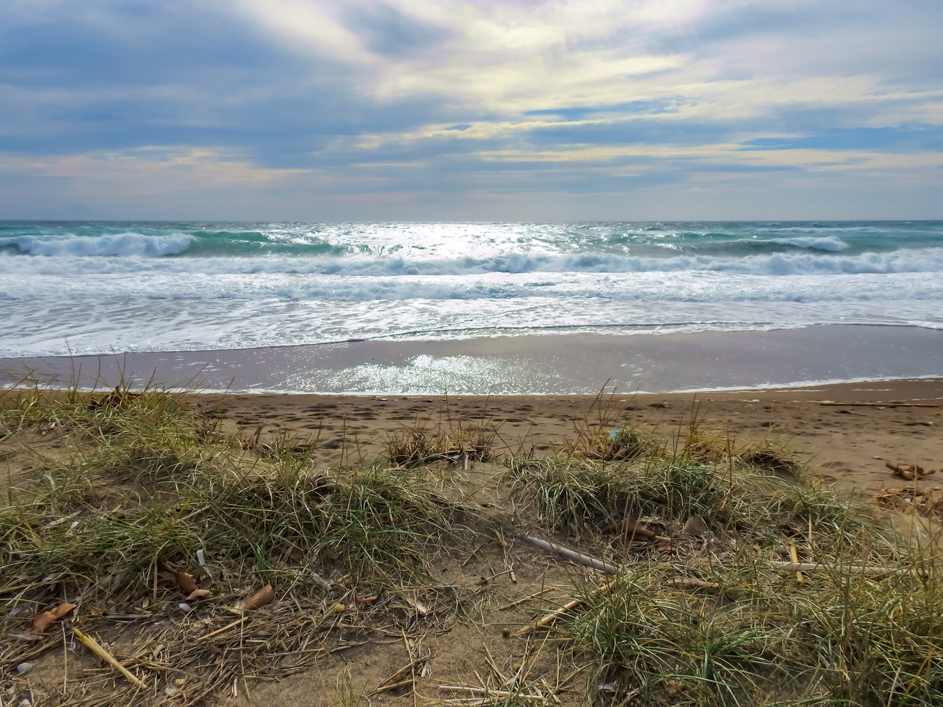 Taken with my Nikon Coolpix P900