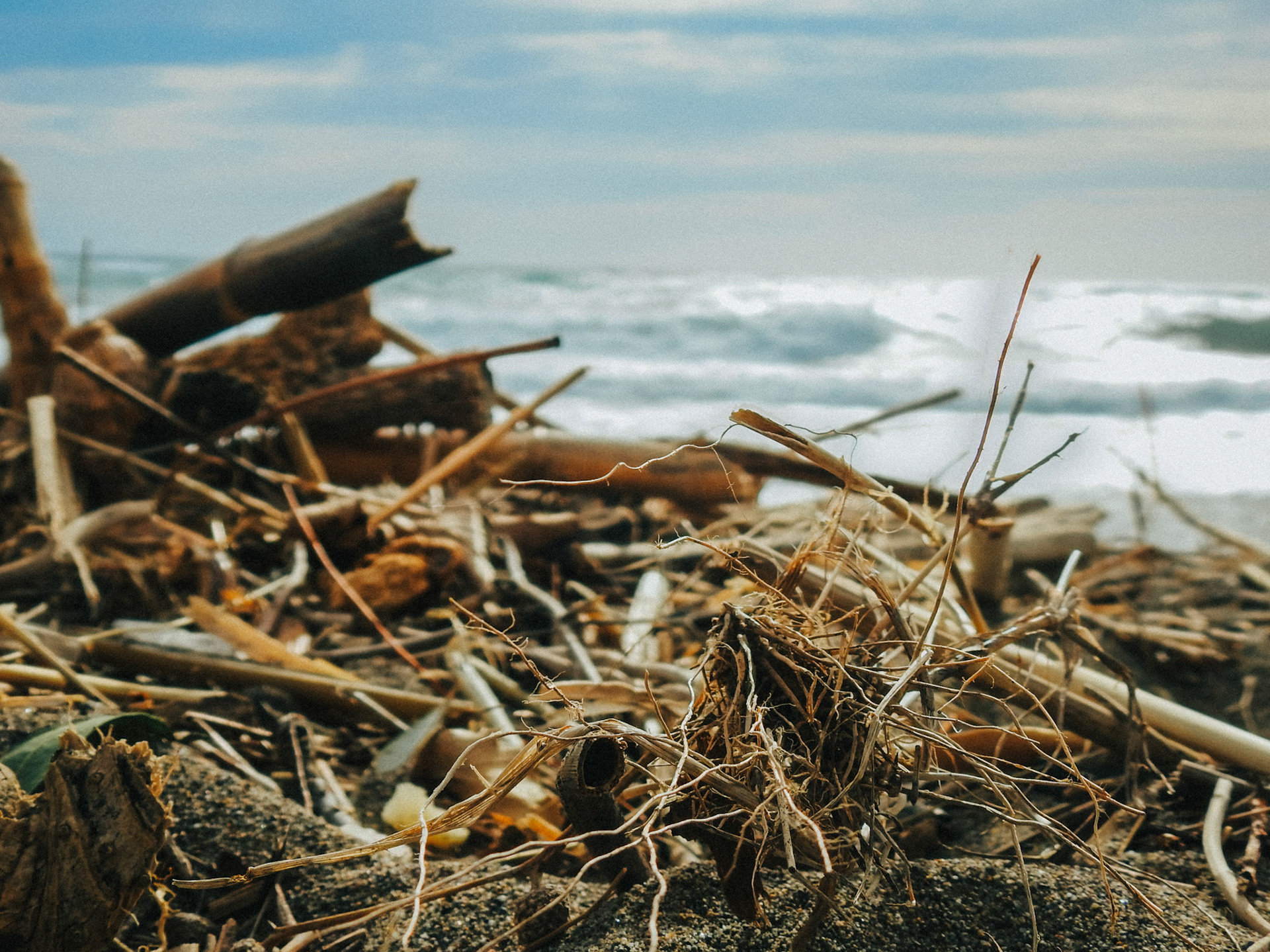 Taken with my Nikon Coolpix P900