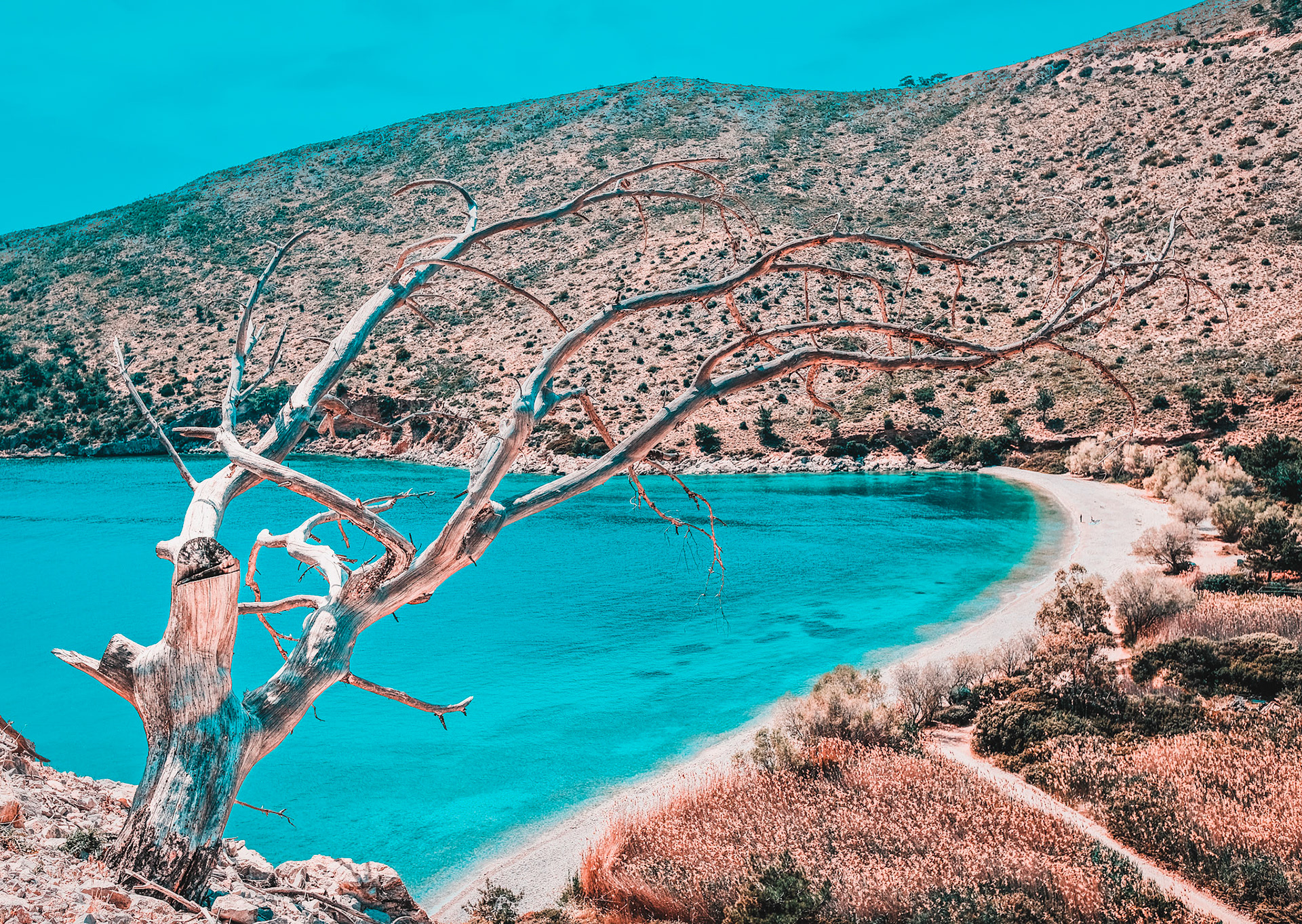 Processed with VSCO with u1 preset