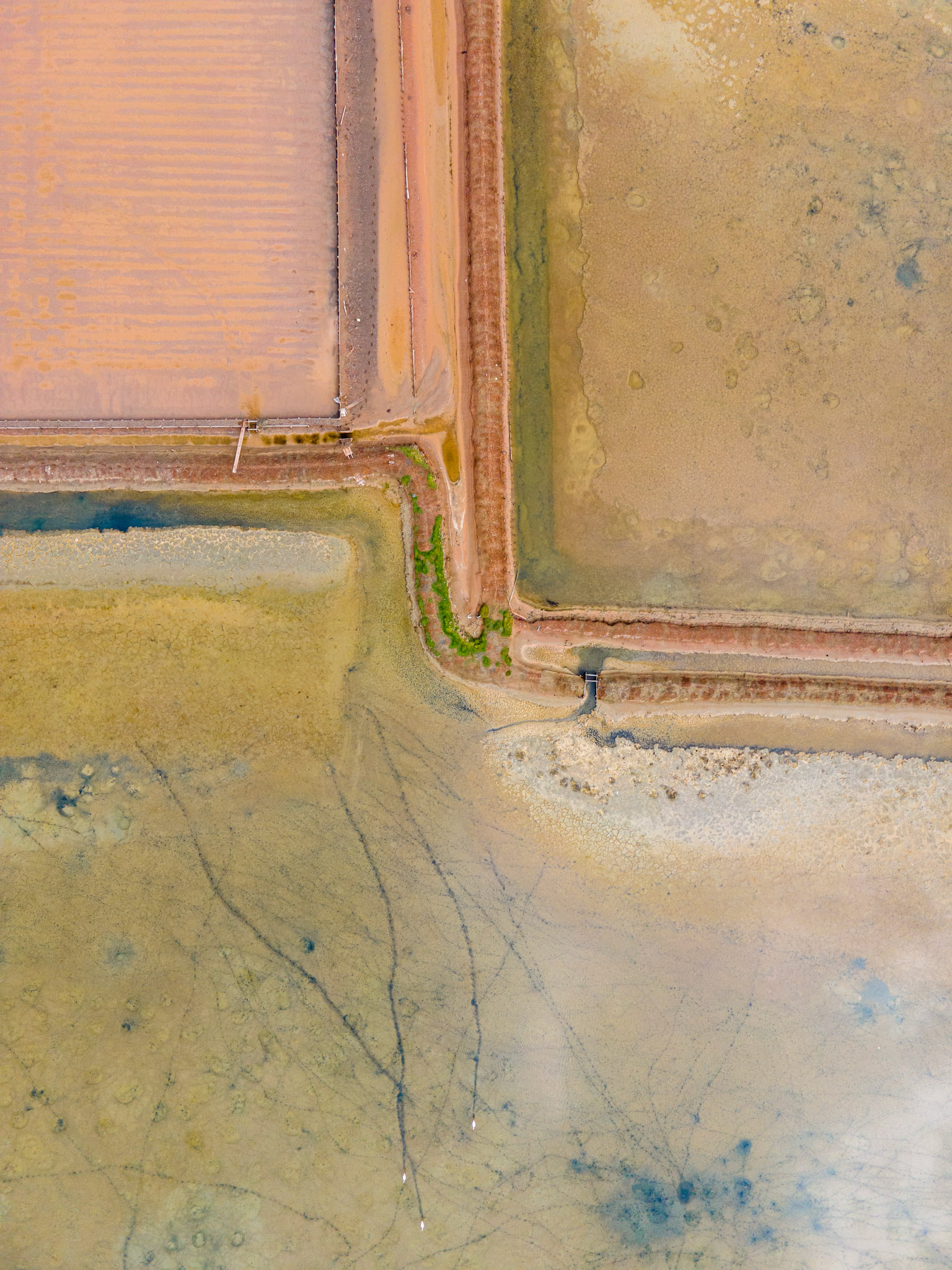 Taken with my DJI Mavic Air 2