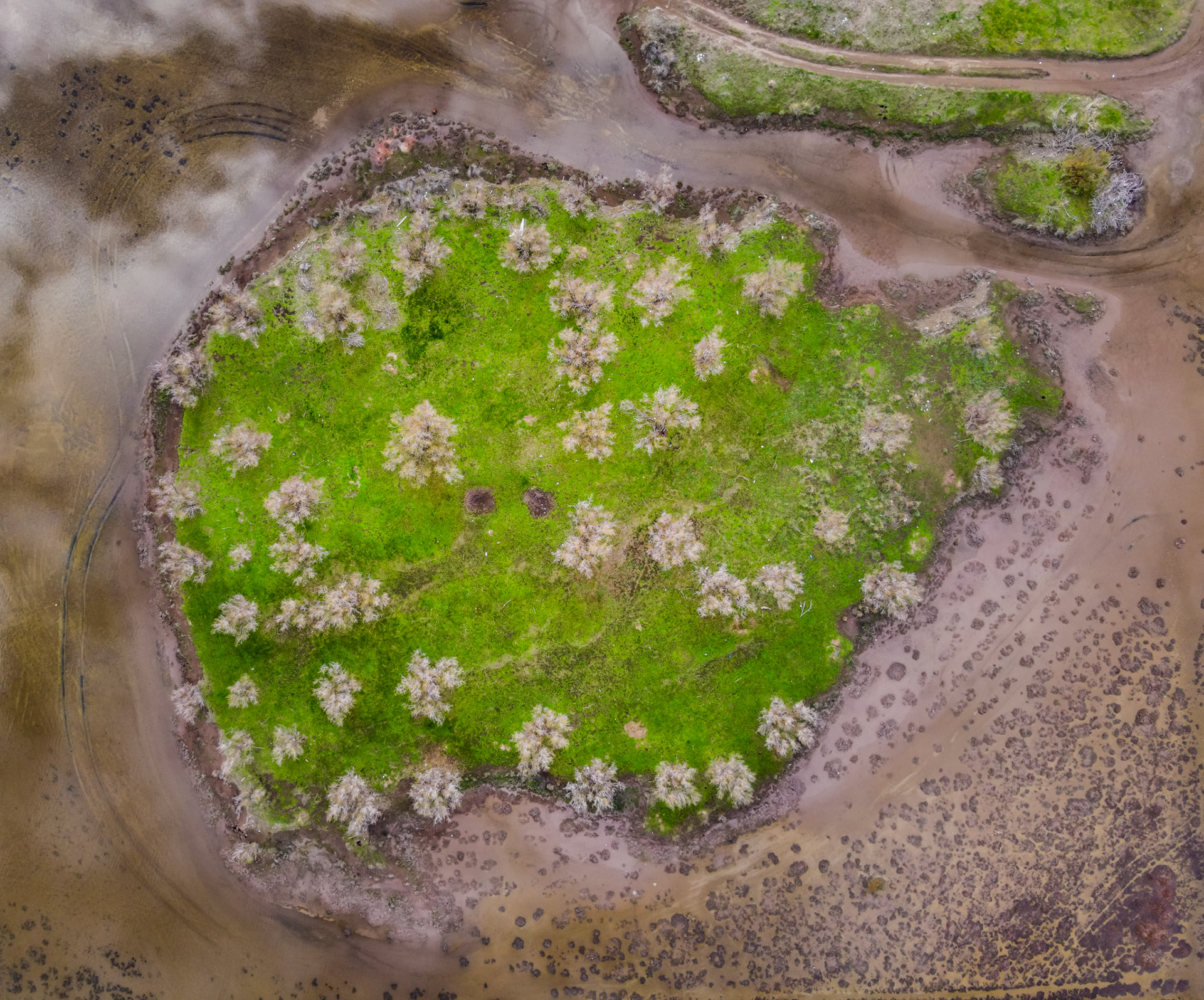 Taken with my DJI Mavic Air 2