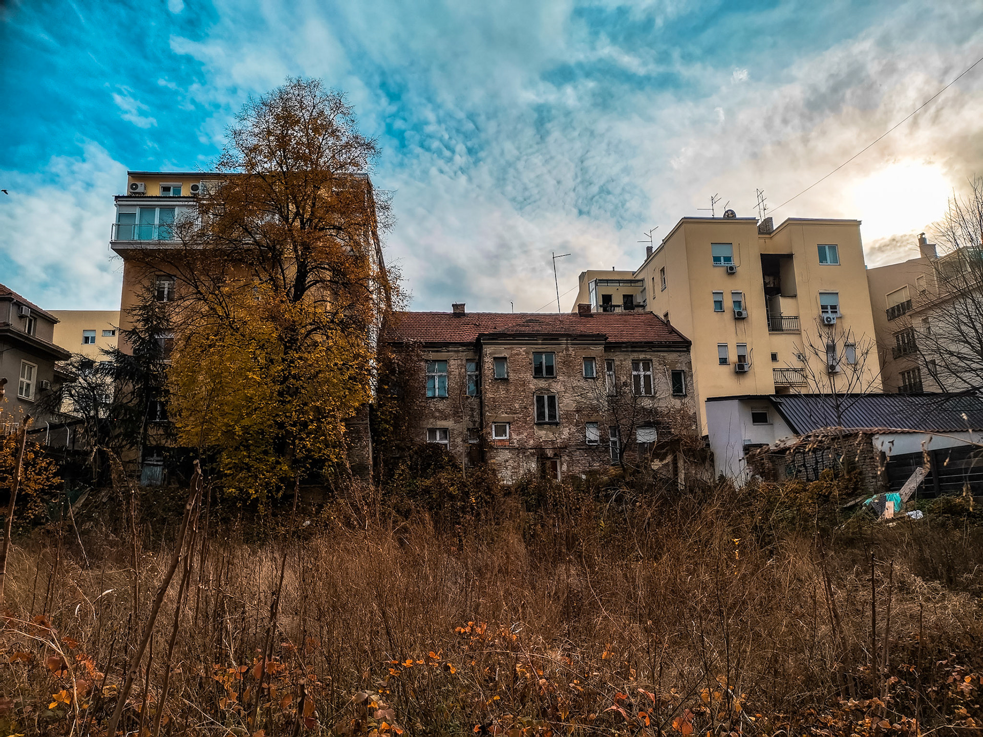 Taken with my Honor View 20