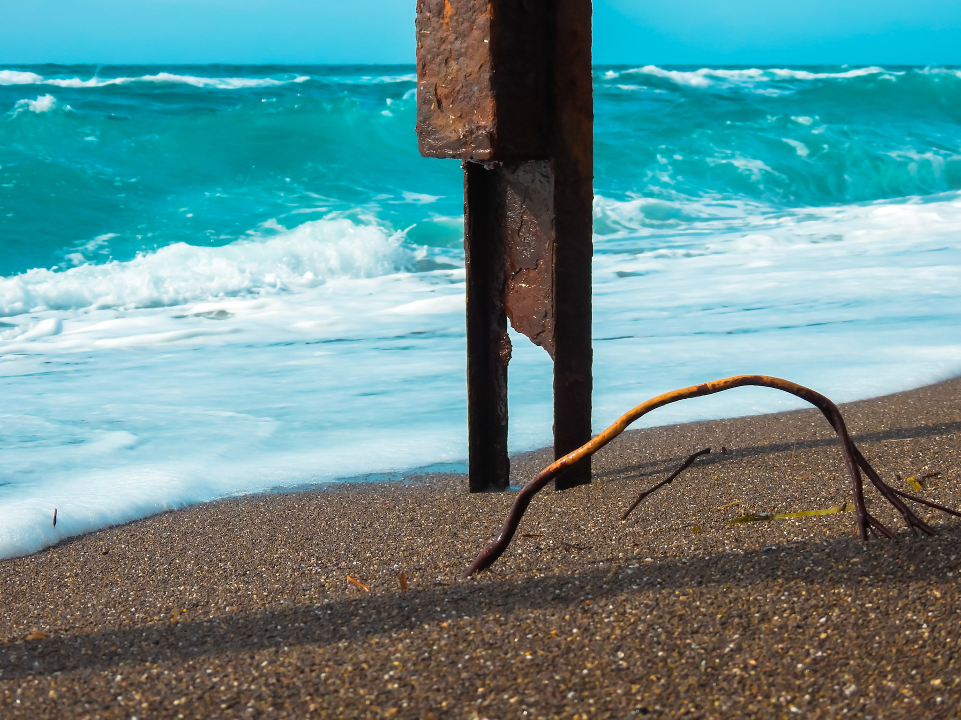 Taken with my Nikon Coolpix P900