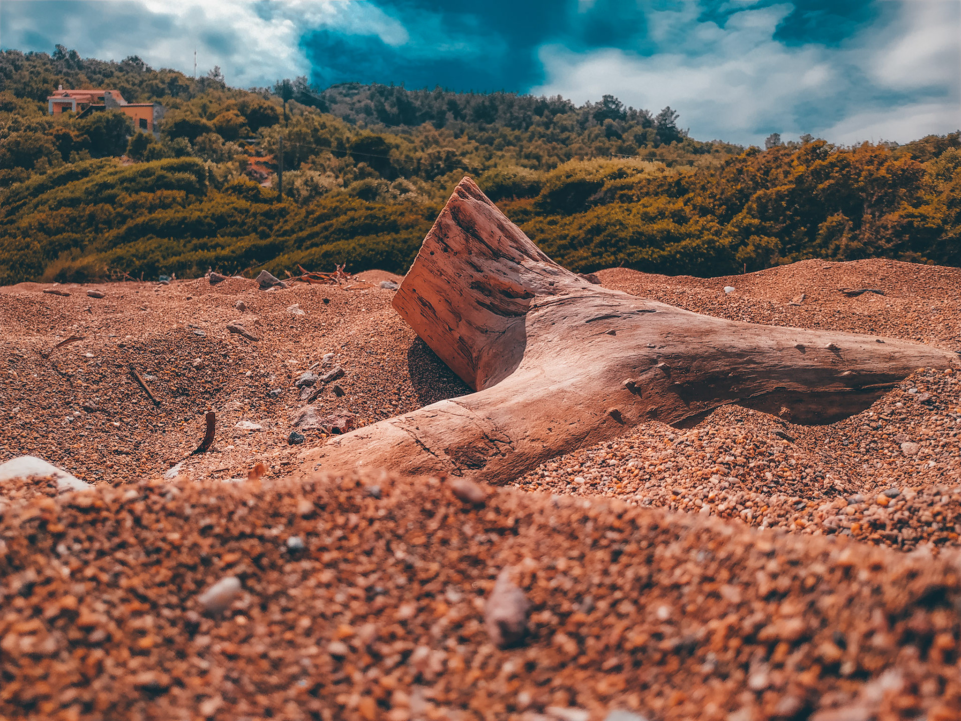 Taken with my Redmi Note 6 Prop